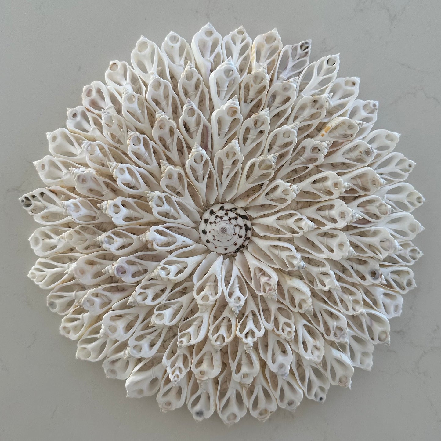 South Pacific Shells on Macrame Wall Hanging | 24cm