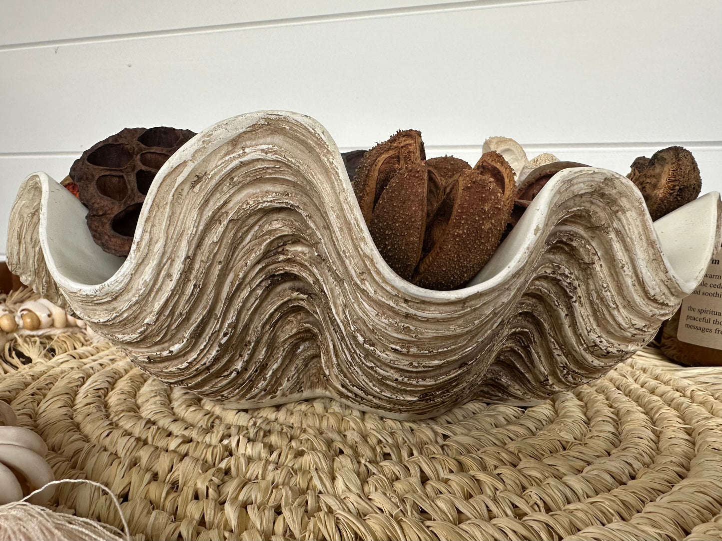 Vintage Resin CLAM Shell | Small | Large | JUST ARRIVED
