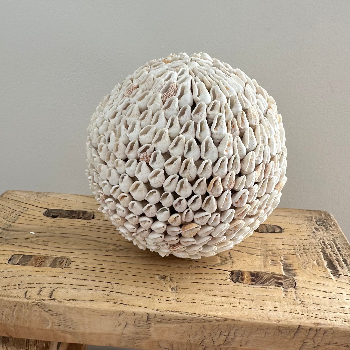 Shells Ball | SURF | 3 Sizes | SOLD OUT