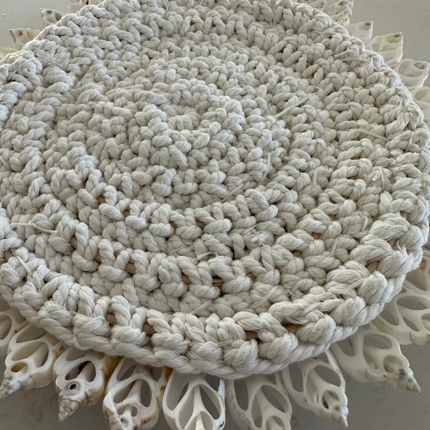 South Pacific Shells on Macrame Wall Hanging | 24cm