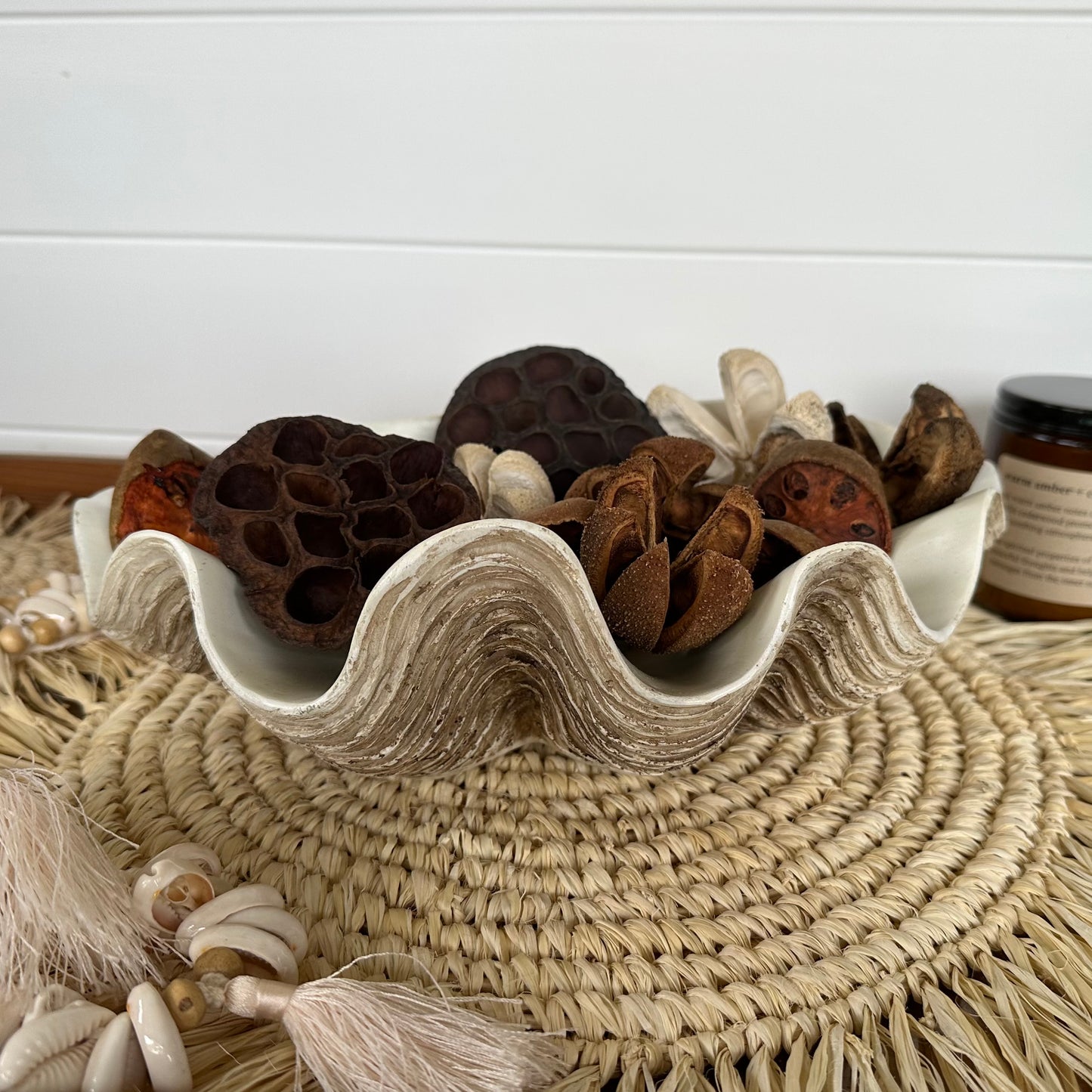 Vintage Resin CLAM Shell | Small | Large | JUST ARRIVED