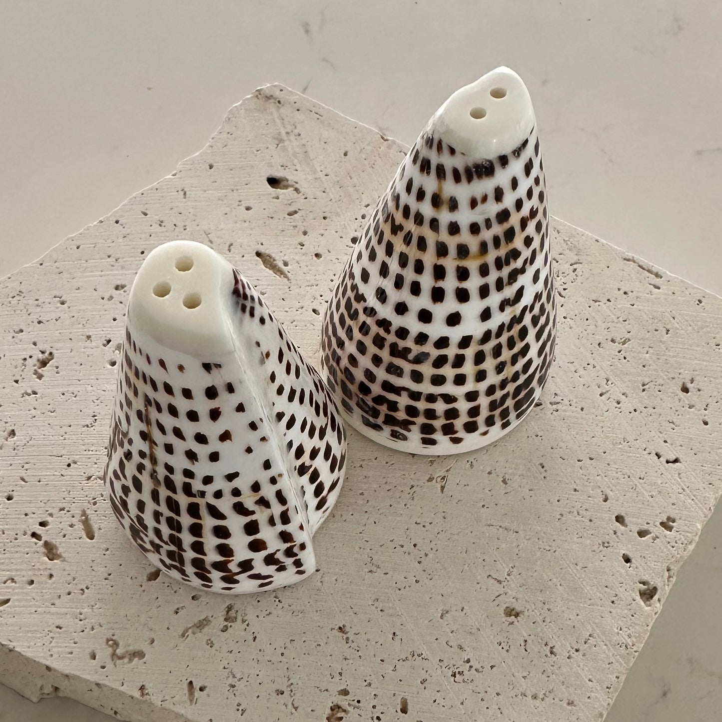 Island Cone Salt & Pepper Shakers | Shell | Set of 2 | 3 SIZES