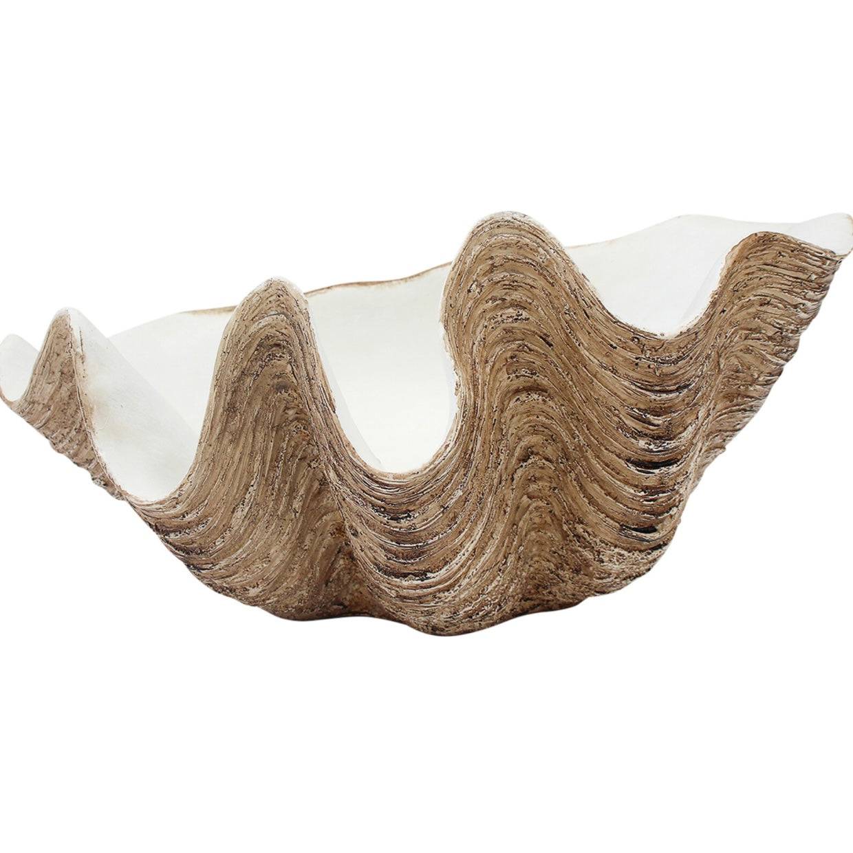 Vintage Resin CLAM Shell | Small | Large | JUST ARRIVED