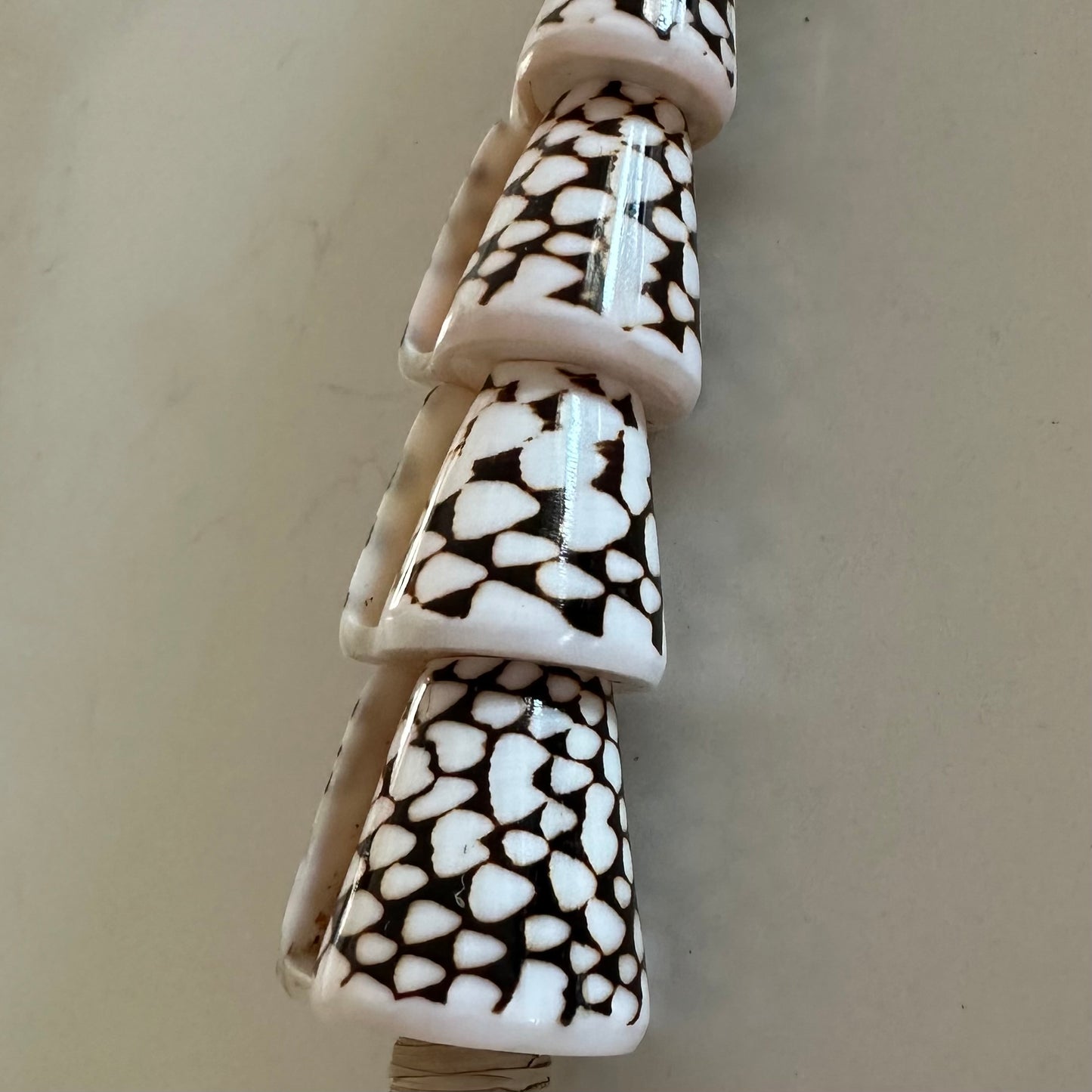 Puji 5 Shell Tassel | Raffia | Curtain Tie Back | Coastal