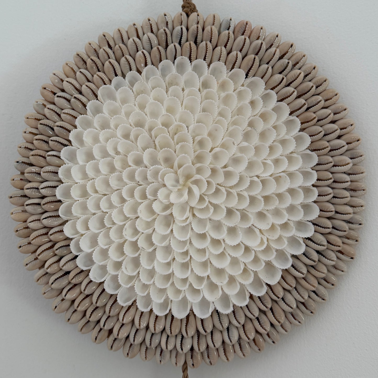 BoHo Shell Wall Hanging | Trio | Duo | RE STOCKED