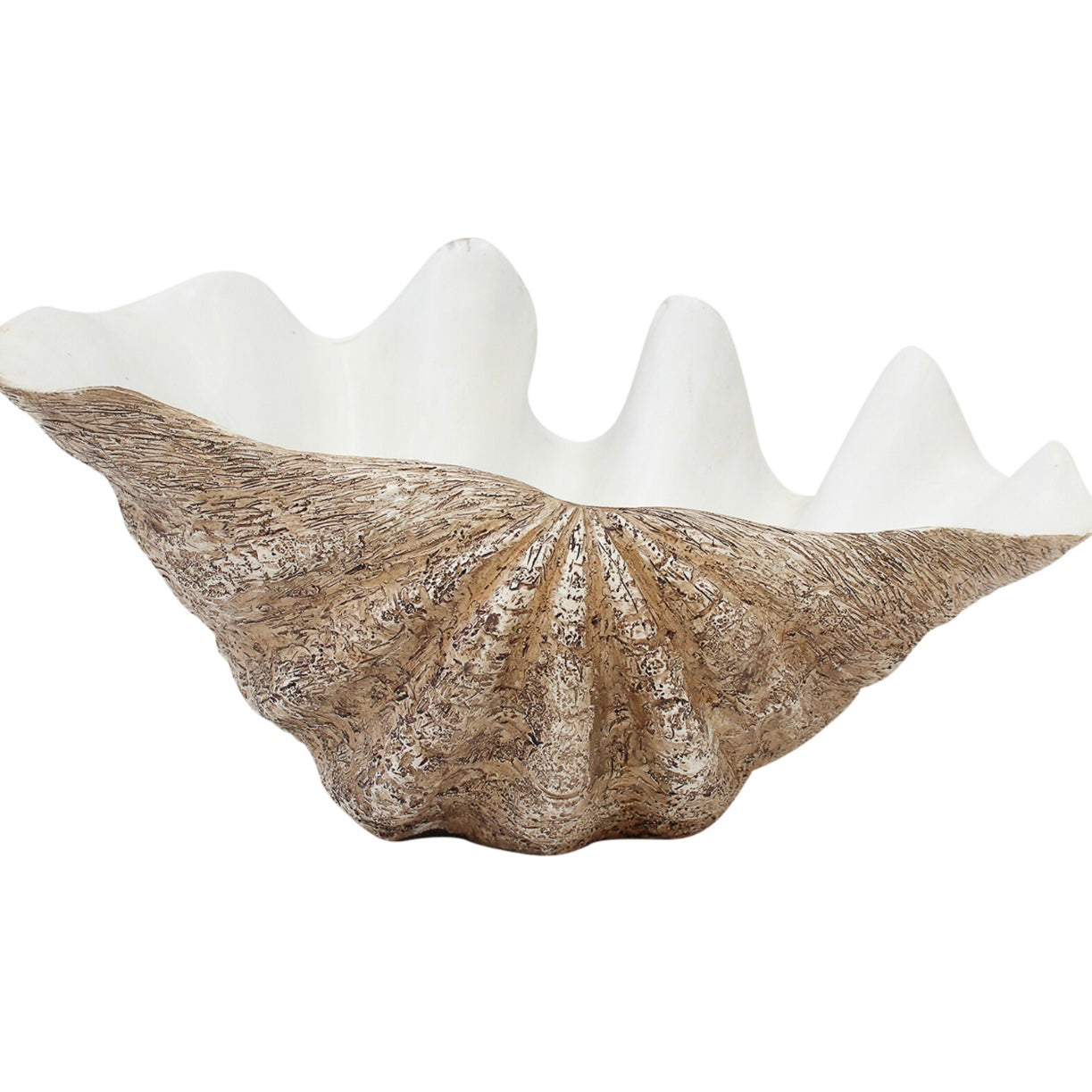 Vintage Resin CLAM Shell | Small | Large | JUST ARRIVED