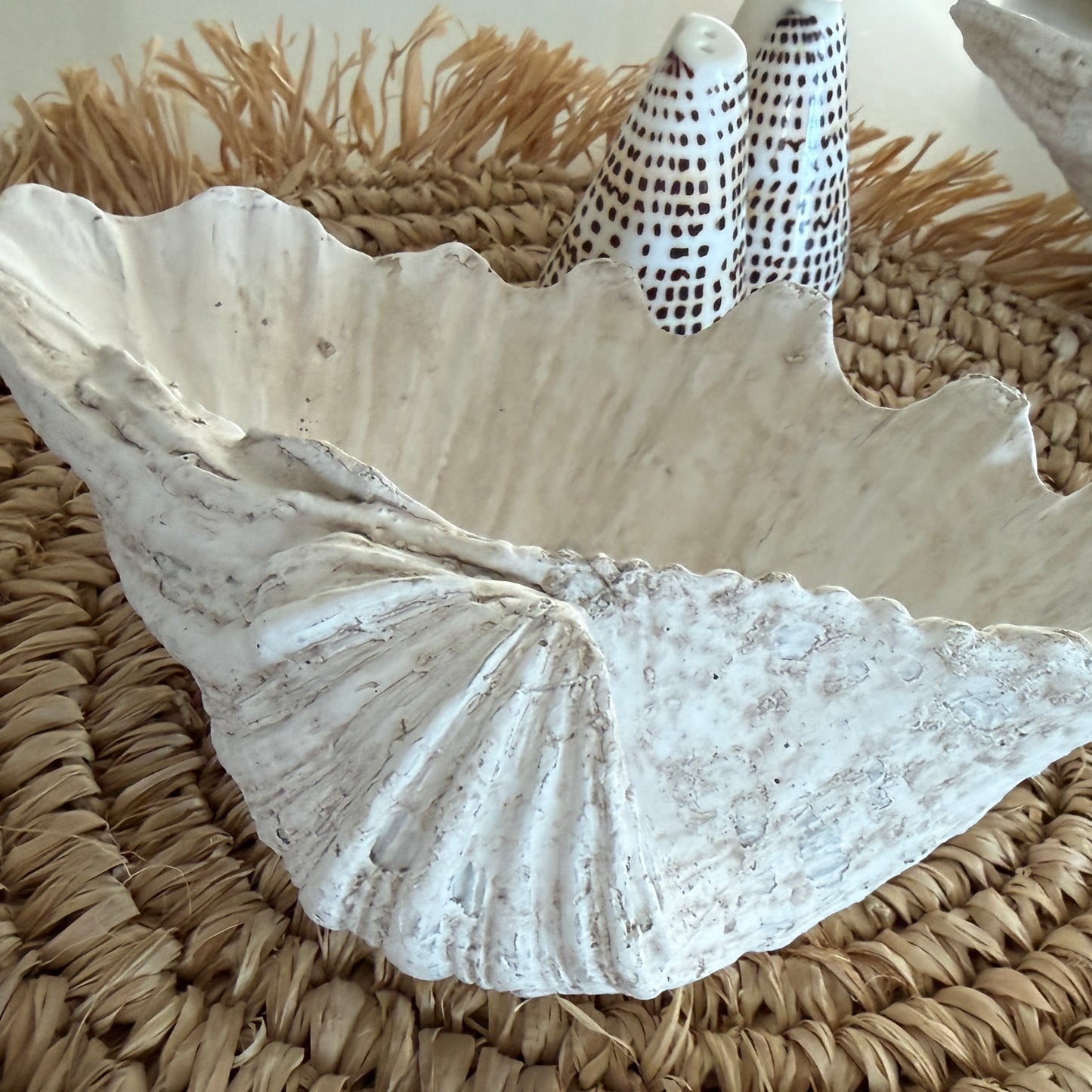 Coastal Clam Shell | Resin | 21cm