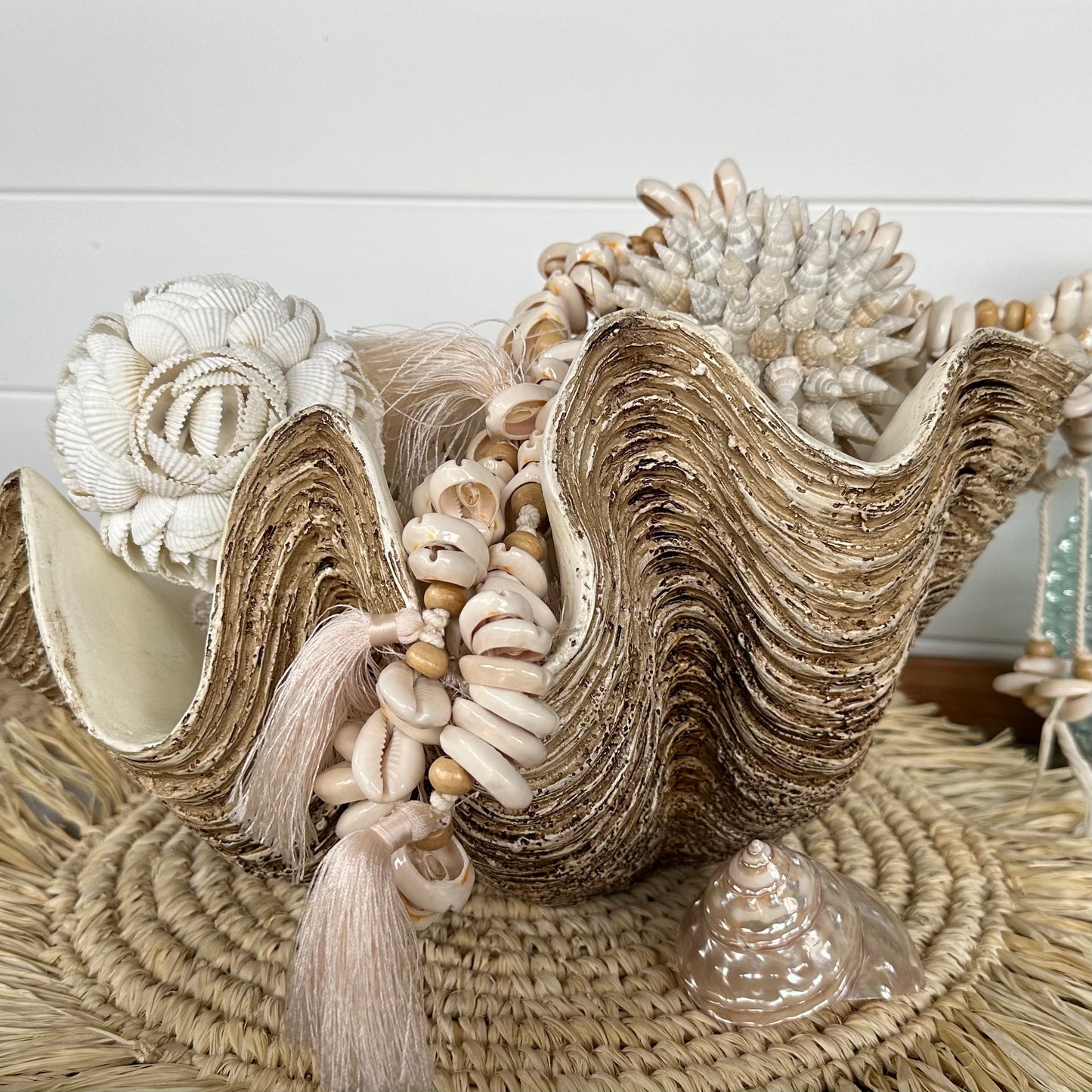 Vintage Resin CLAM Shell | Small | Large | JUST ARRIVED
