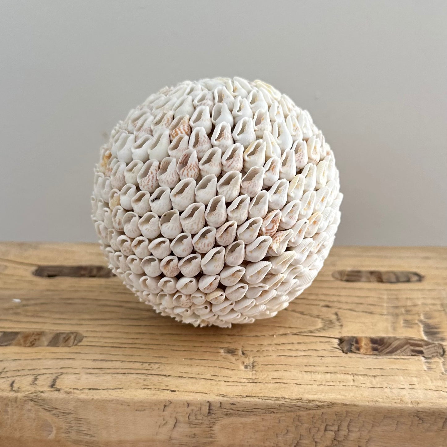 Shells Ball | SURF | 3 Sizes | SOLD OUT