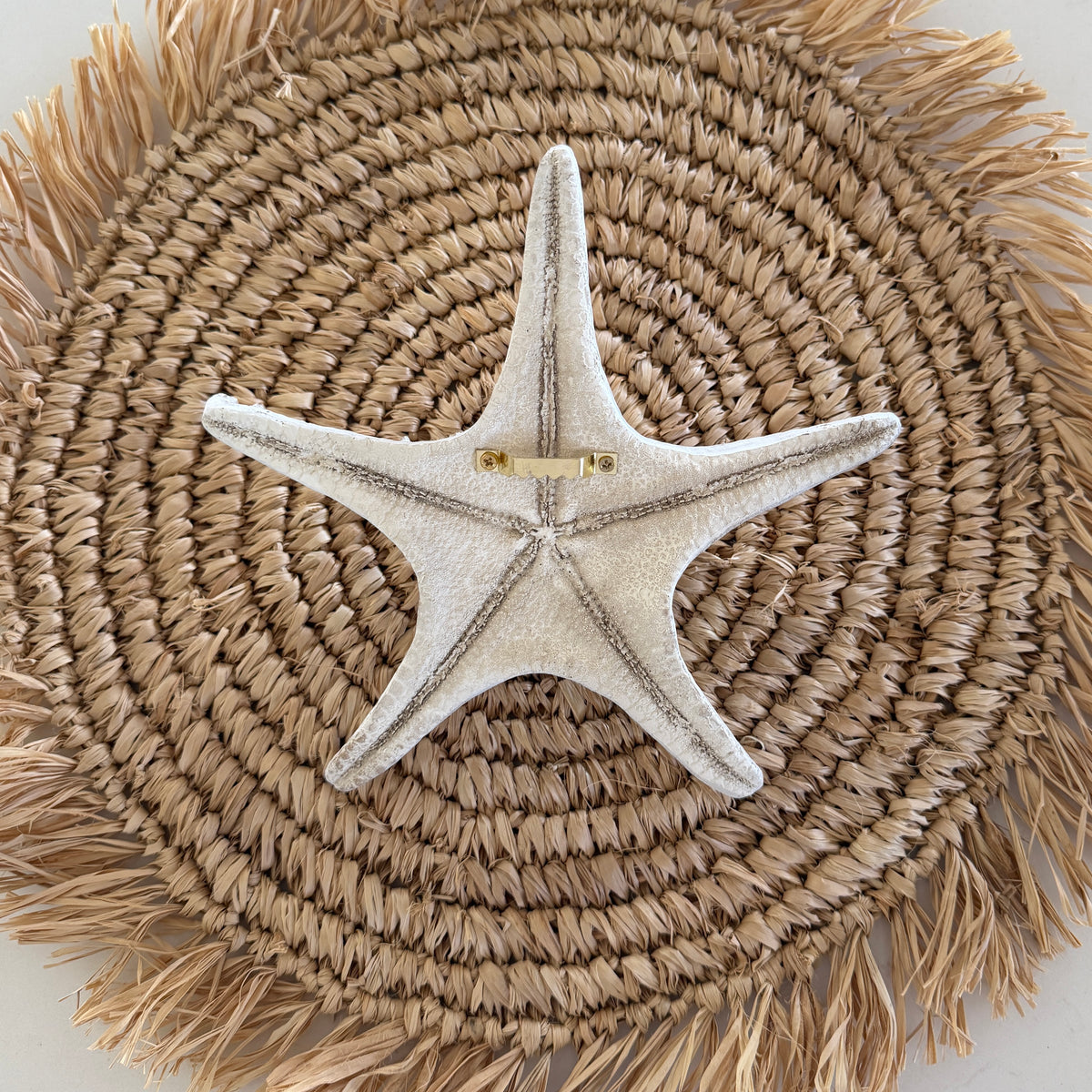 Coastal Starfish Decor | XL | New Arrival