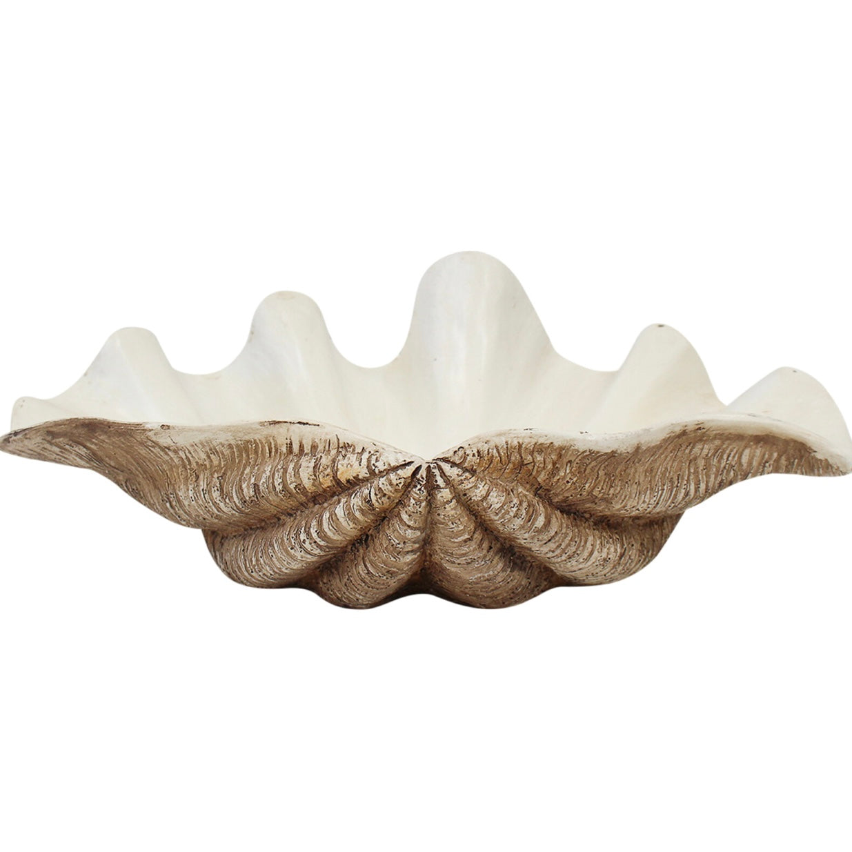Vintage Resin CLAM Shell | Small | Large | JUST ARRIVED
