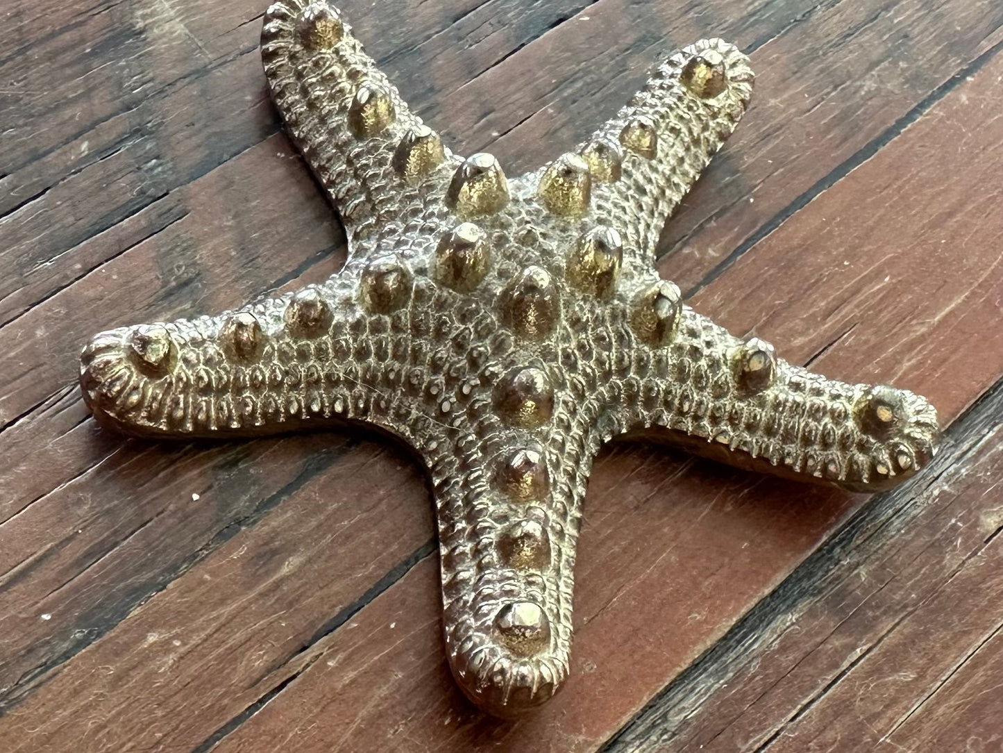 Starfish Palm Tree Bottle Opener | Brass | ONLY 1 LEFT