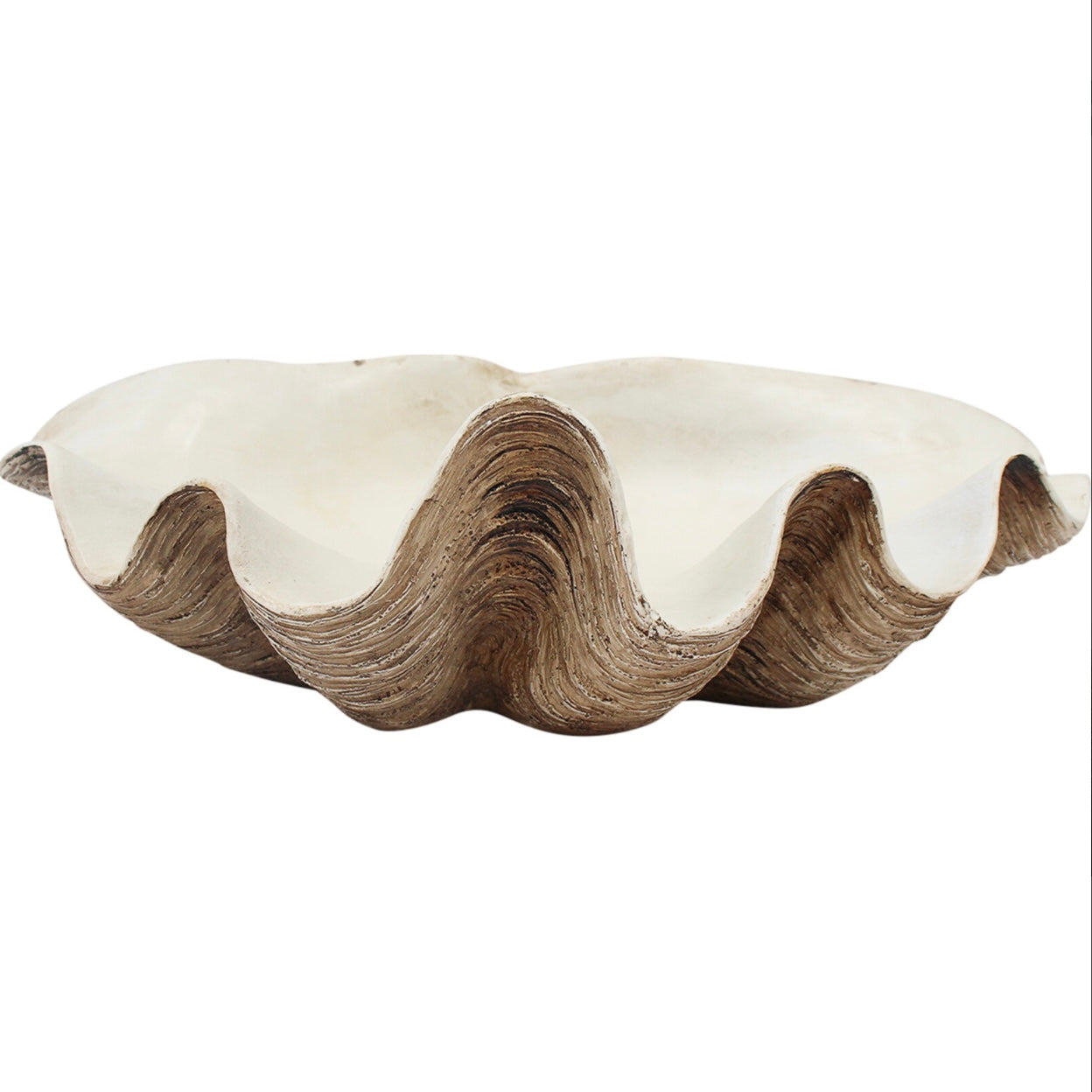 Vintage Resin CLAM Shell | Small | Large | JUST ARRIVED