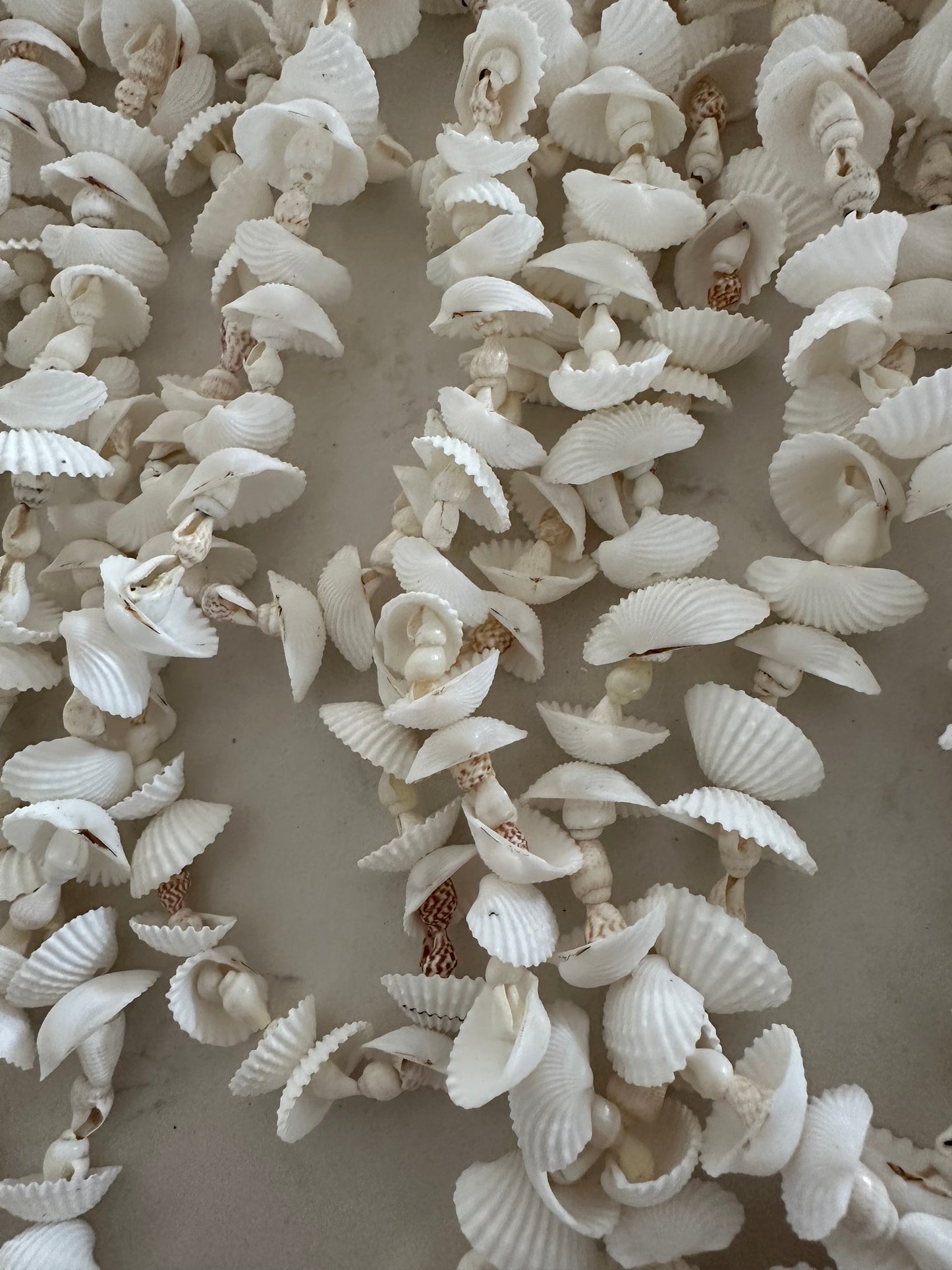 BoHo Draper Shell Wall Hanging | NEW STYLE | Medium