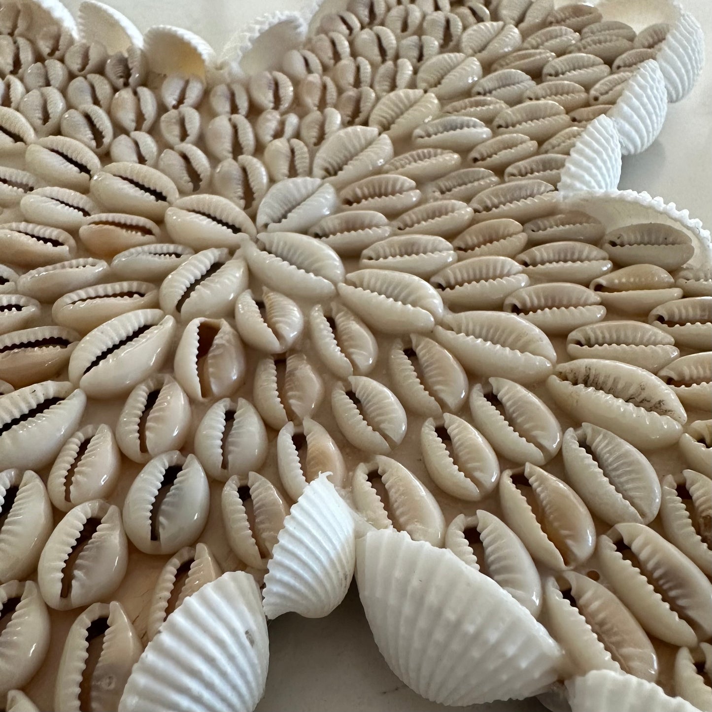 BoHo Shell Wall Cross | Cowrie | Medium | SOLD OUT