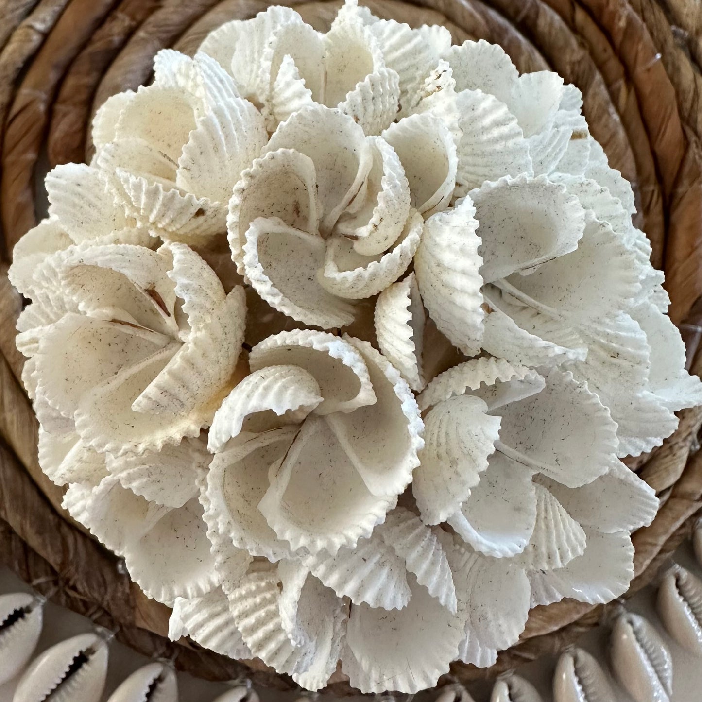 Shells Ball Small | Frangipani | SECOND | ONLY 1 AVAILABLE