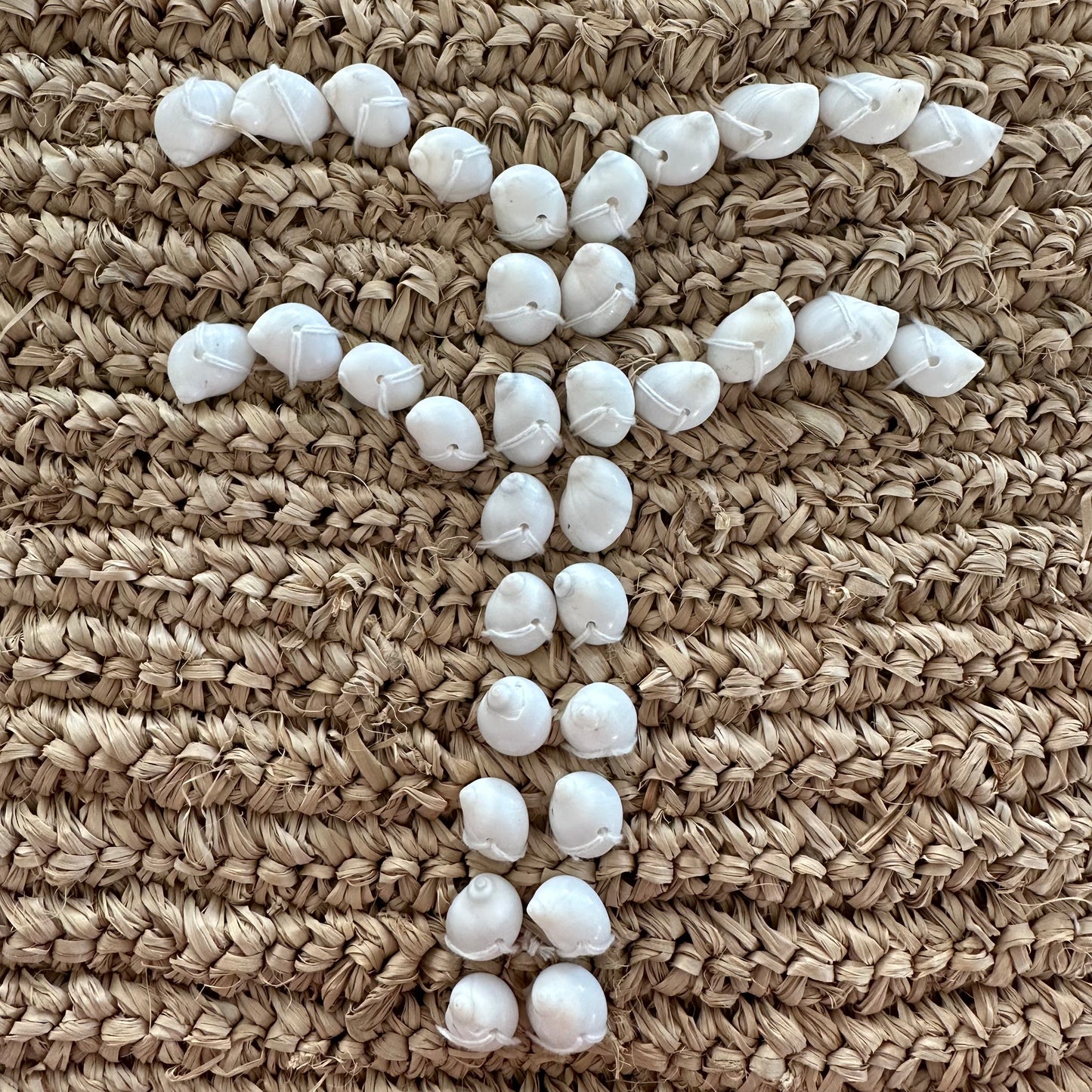 Raffia Cushion Cover | Palm | Shell | Natural