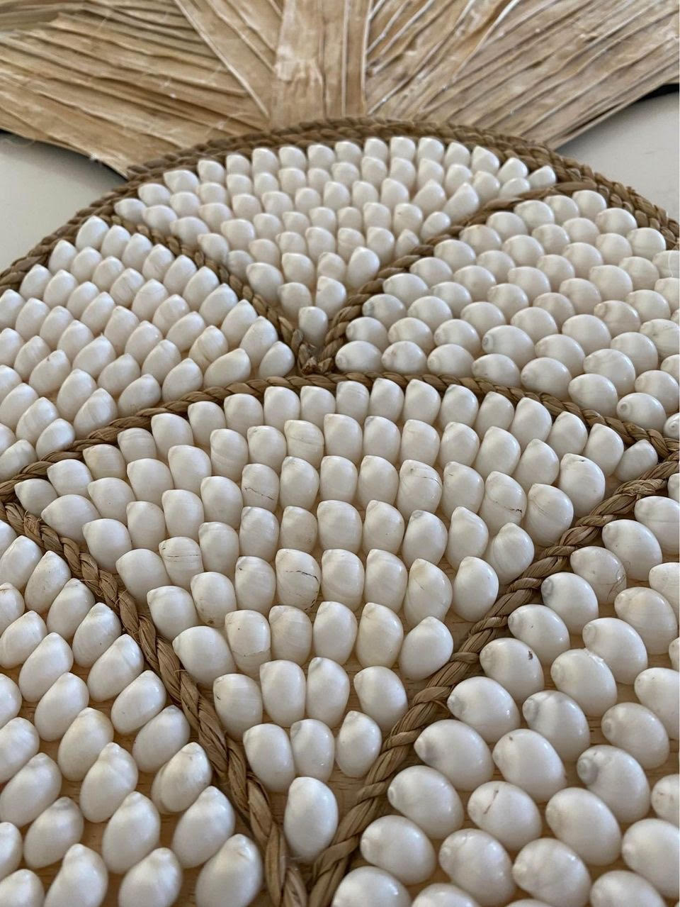 Large Pineapple Shell Wall Hanging | Moon Shell | SOLD OUT