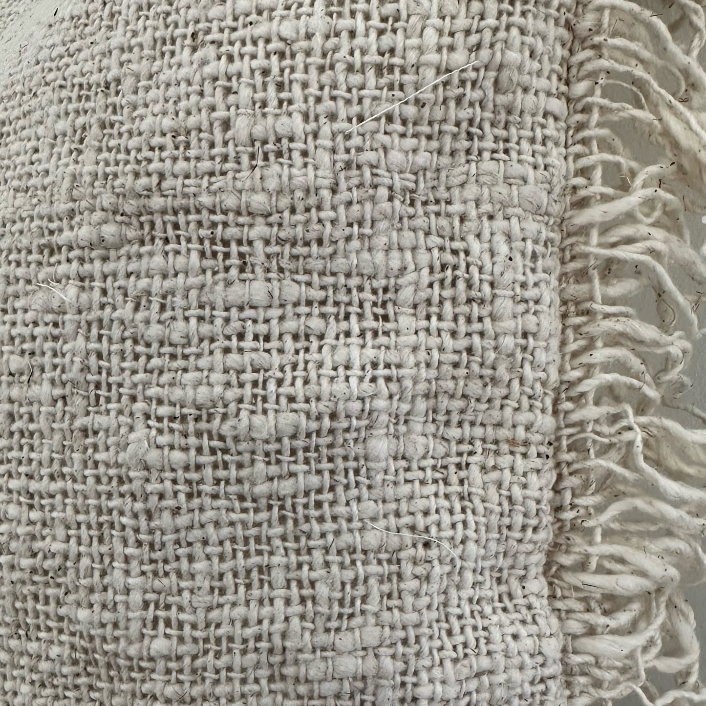 Natural Slub Cotton Fringed Cushion Cover | WHEAT
