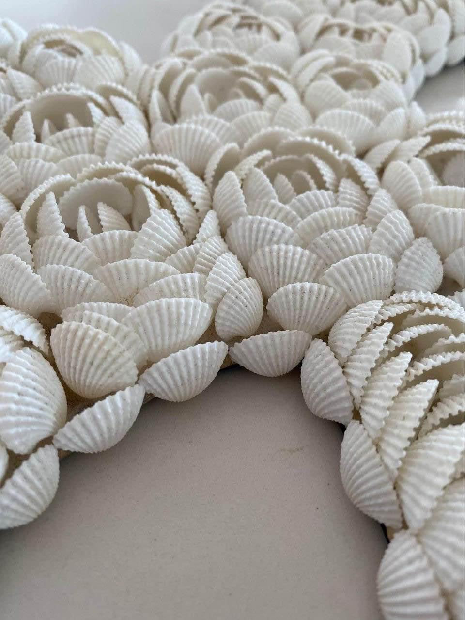 BoHo Shell Palm Tree Wall Hanging | 2 sizes