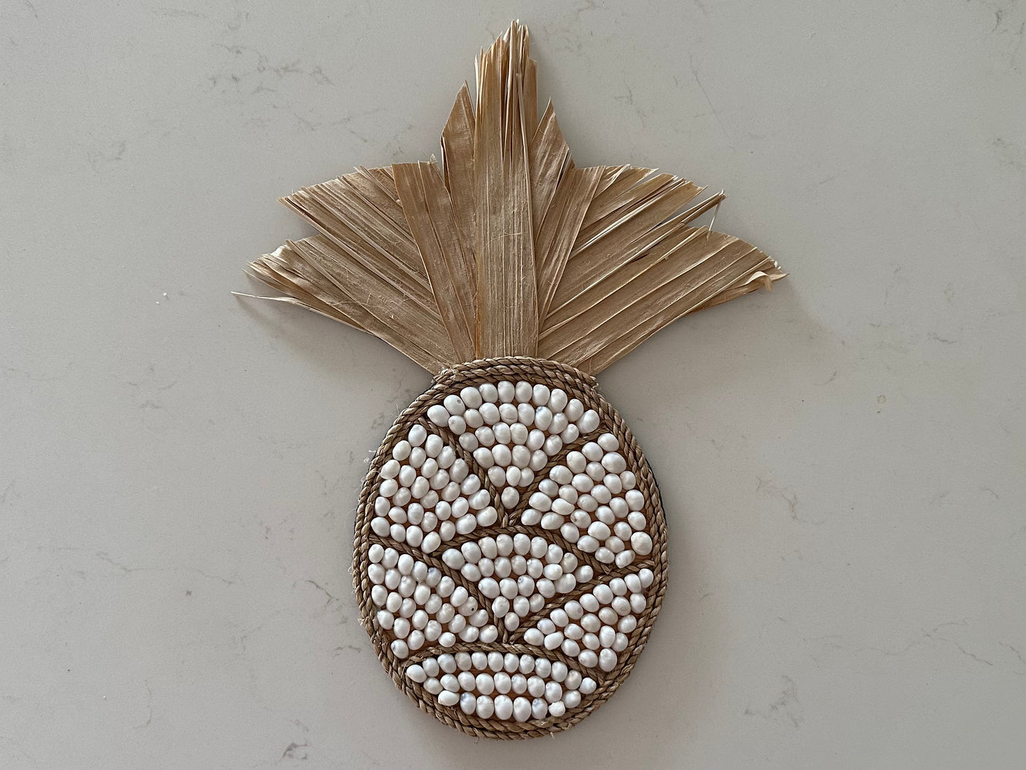 Pineapple Shell Wall Hanging Moon Shell | Set of 3 | ONLY 1 SET LEFT