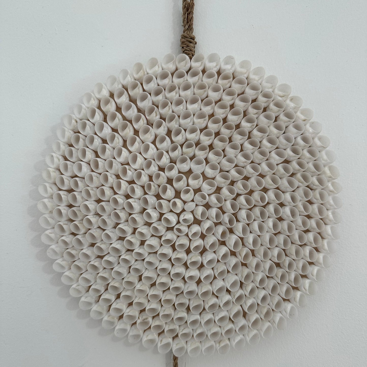 BoHo Shell Wall Hanging | Trio | White | ONLY 1 LEFT
