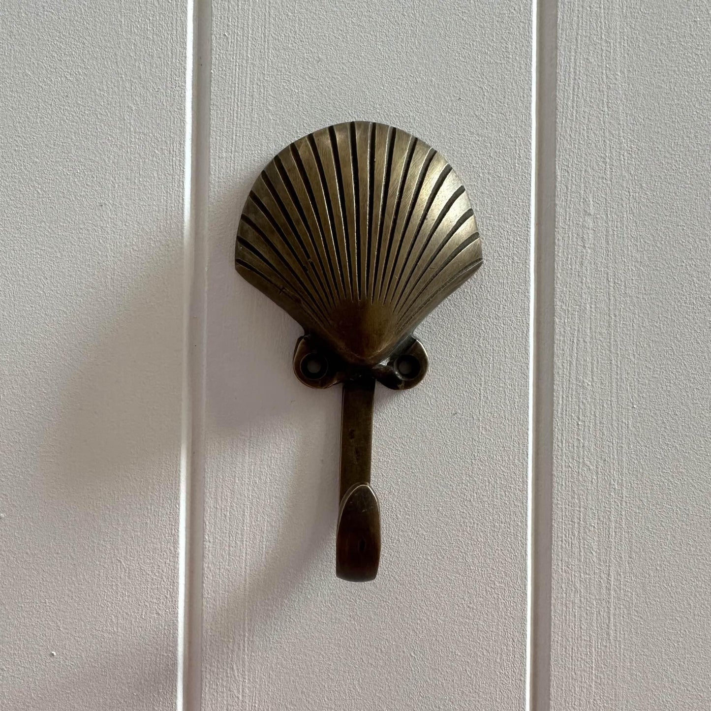 Brass Shell Wall Hook | Clam