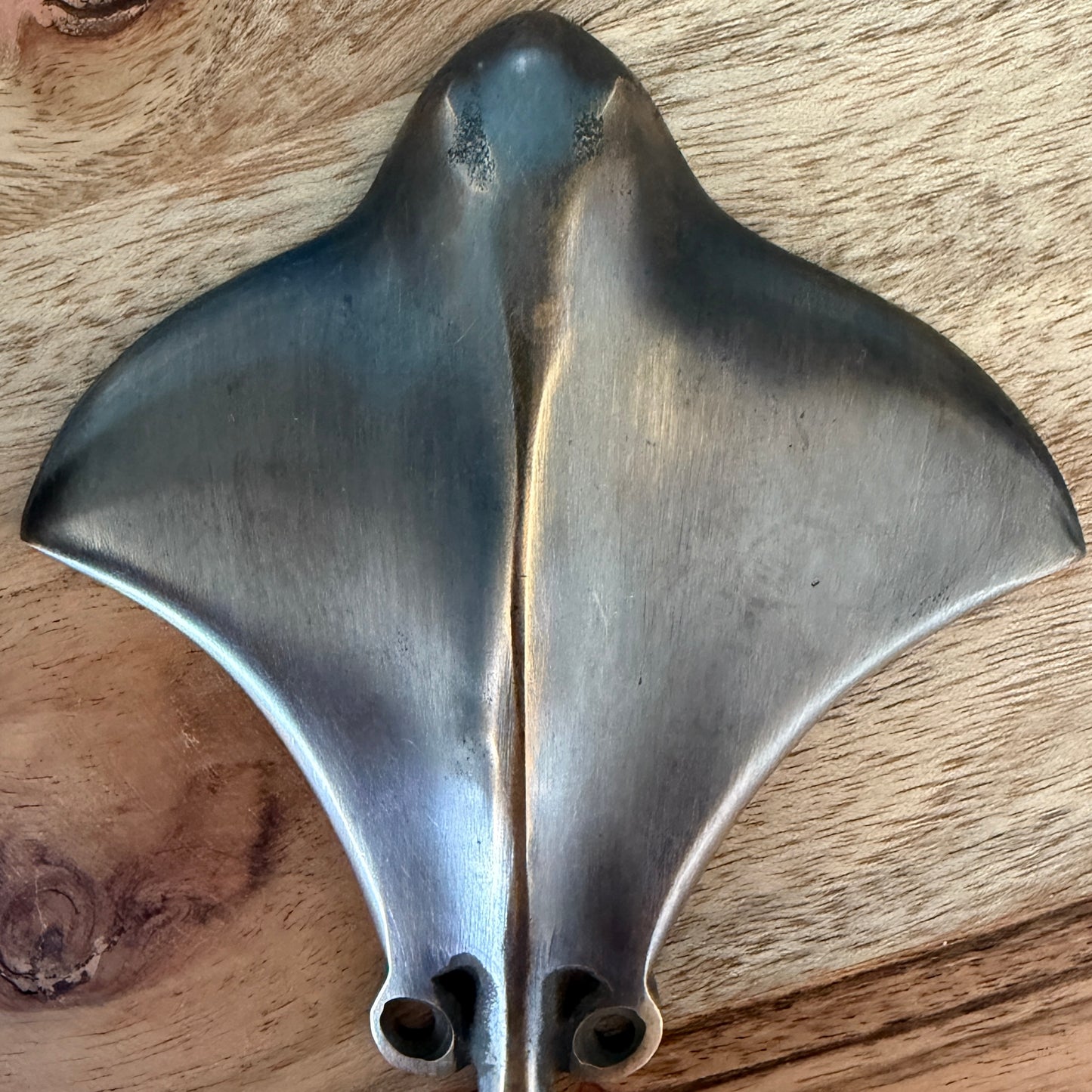 Brass Shell Wall Hook | Stingray | NEW ARRIVAL