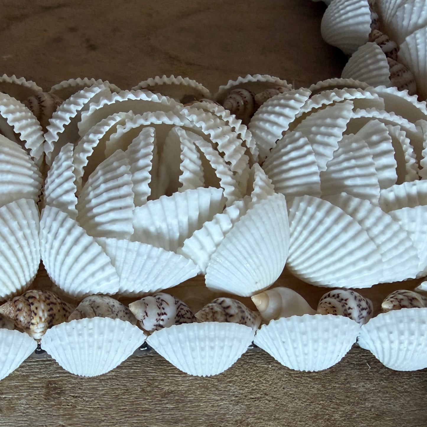 BoHo Shell Cross | Rose | Large | NEW STYLE