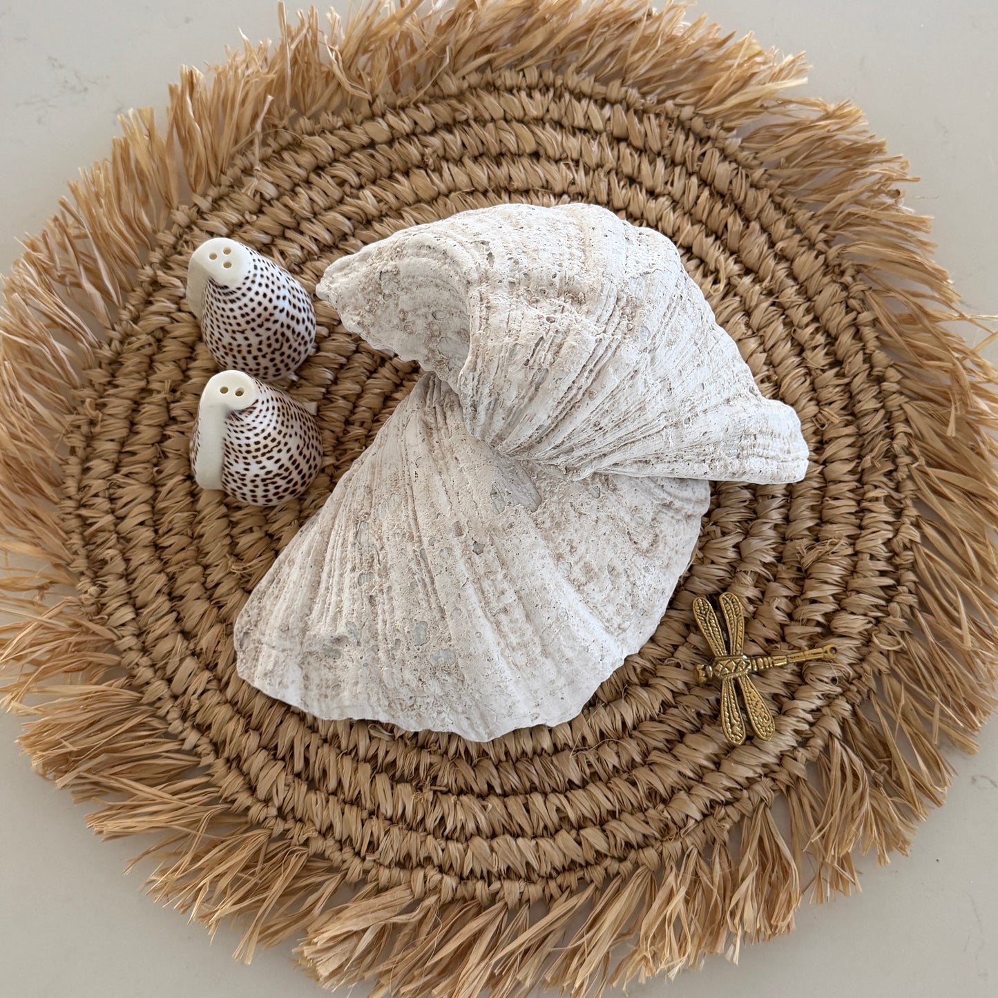Coastal Clam Shell | Resin | 21cm
