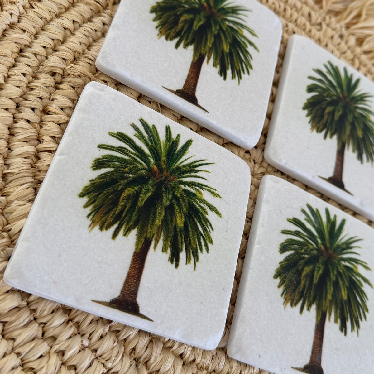 Drink Coasters | set of 4 | Desert Palm | NEW ARRIVAL