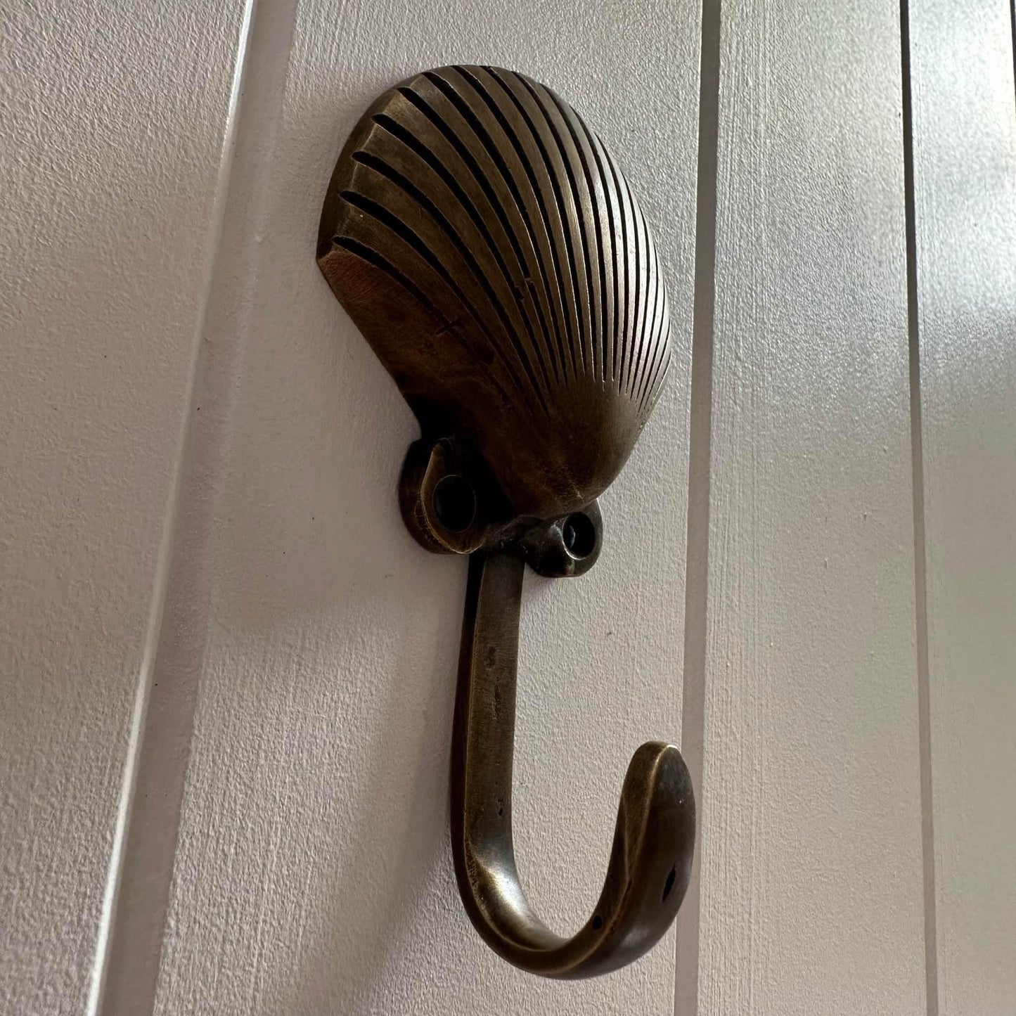 Brass Shell Wall Hook | Clam