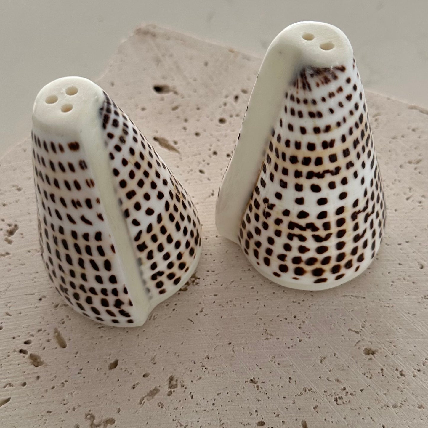 Island Cone Salt & Pepper Shakers | Shell | Set of 2 | 3 SIZES