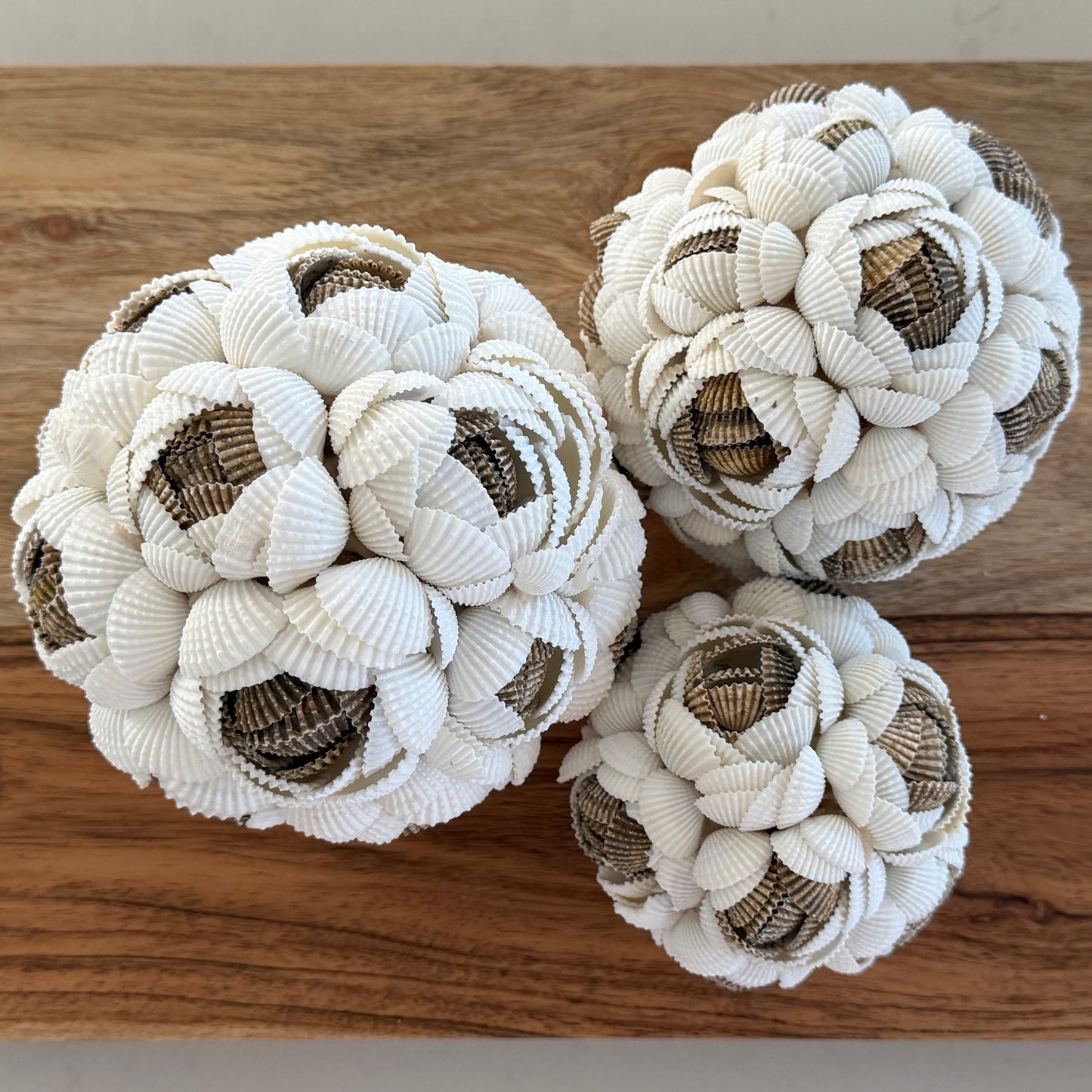 Shells Ball | ROSE | MULTI | 3 Sizes