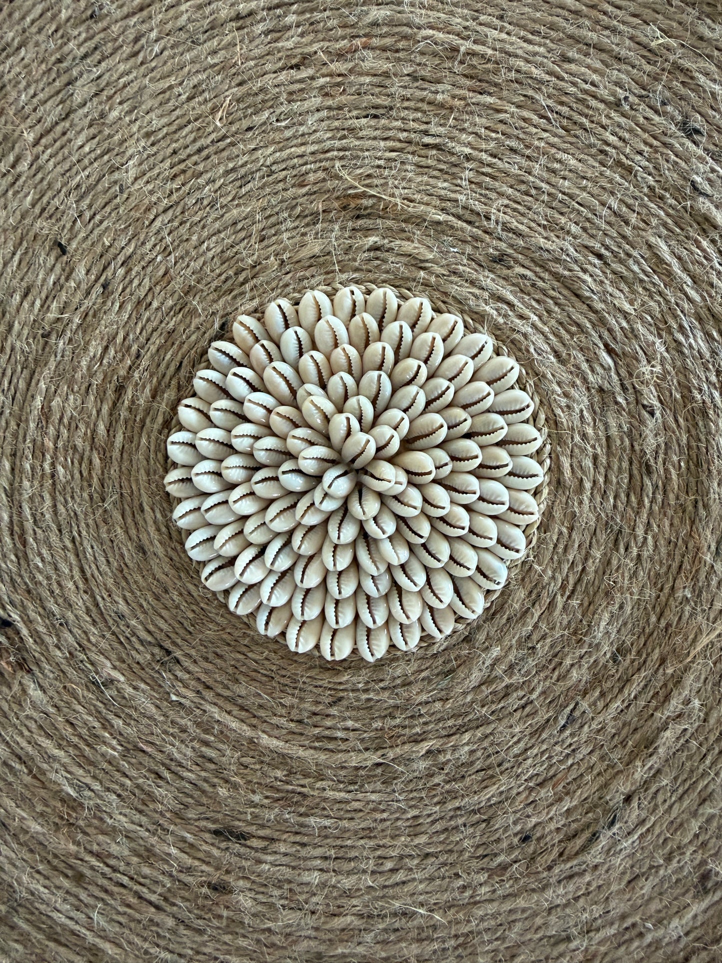 Sunshine Natural Jute Shell and Raffia Wall Disk | 60cm