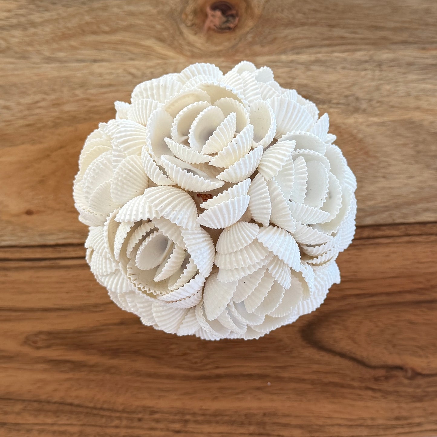 Shells Ball | ROSE | 3 Sizes