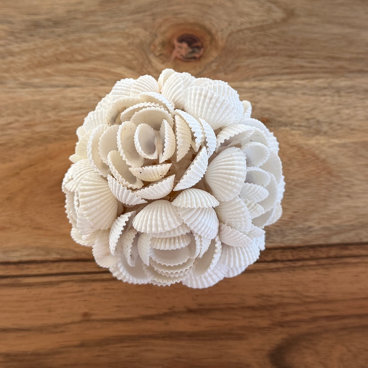 Shells Ball | ROSE | 3 Sizes