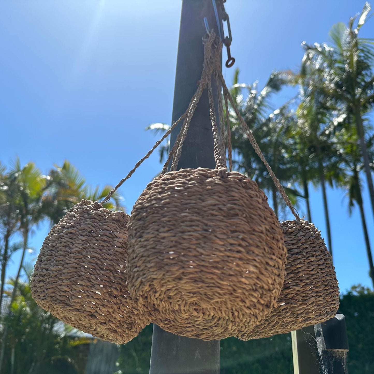 Natural Seagrass Hanging Pot/Basket