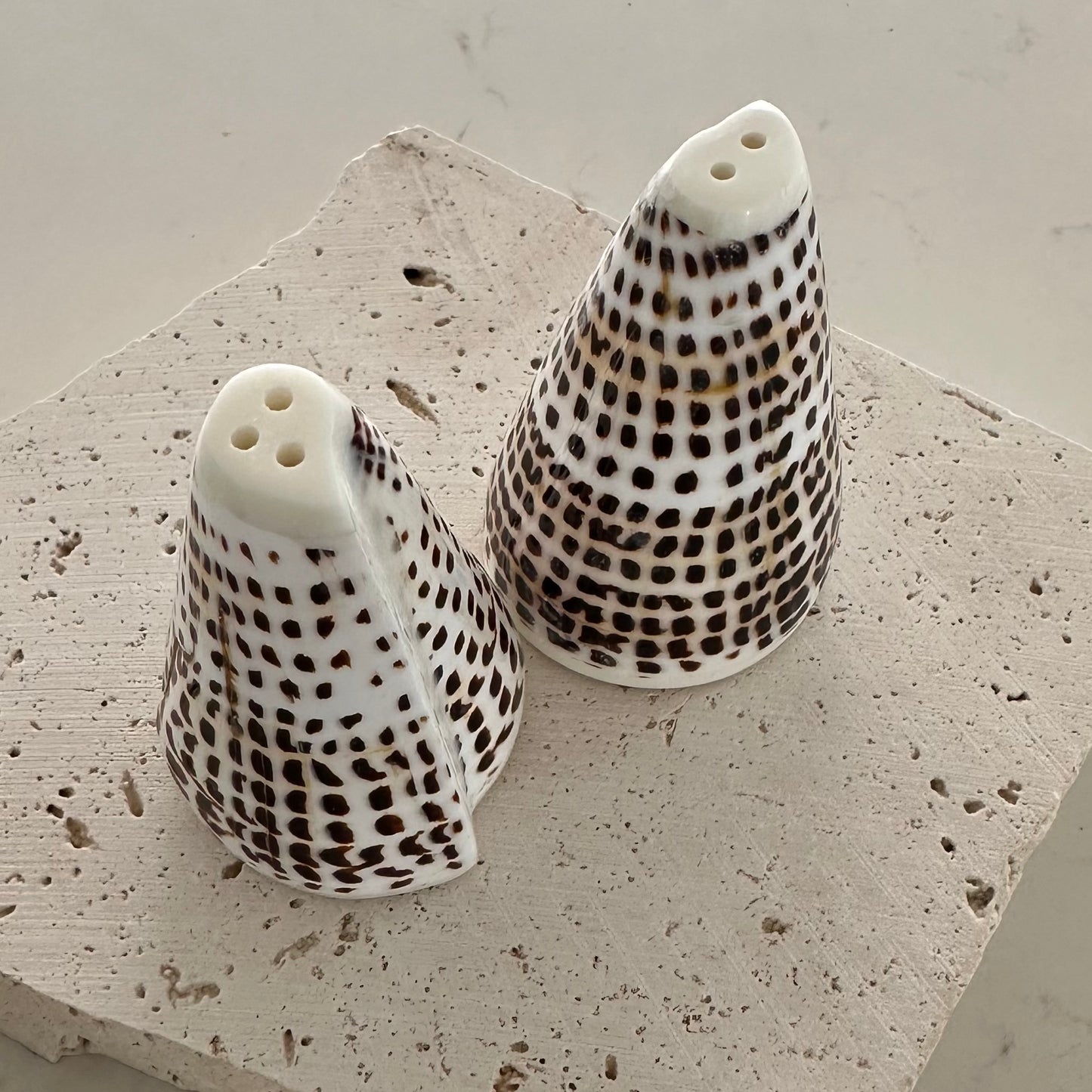 Island Cone Salt & Pepper Shakers | Shell | Set of 2 | 3 SIZES