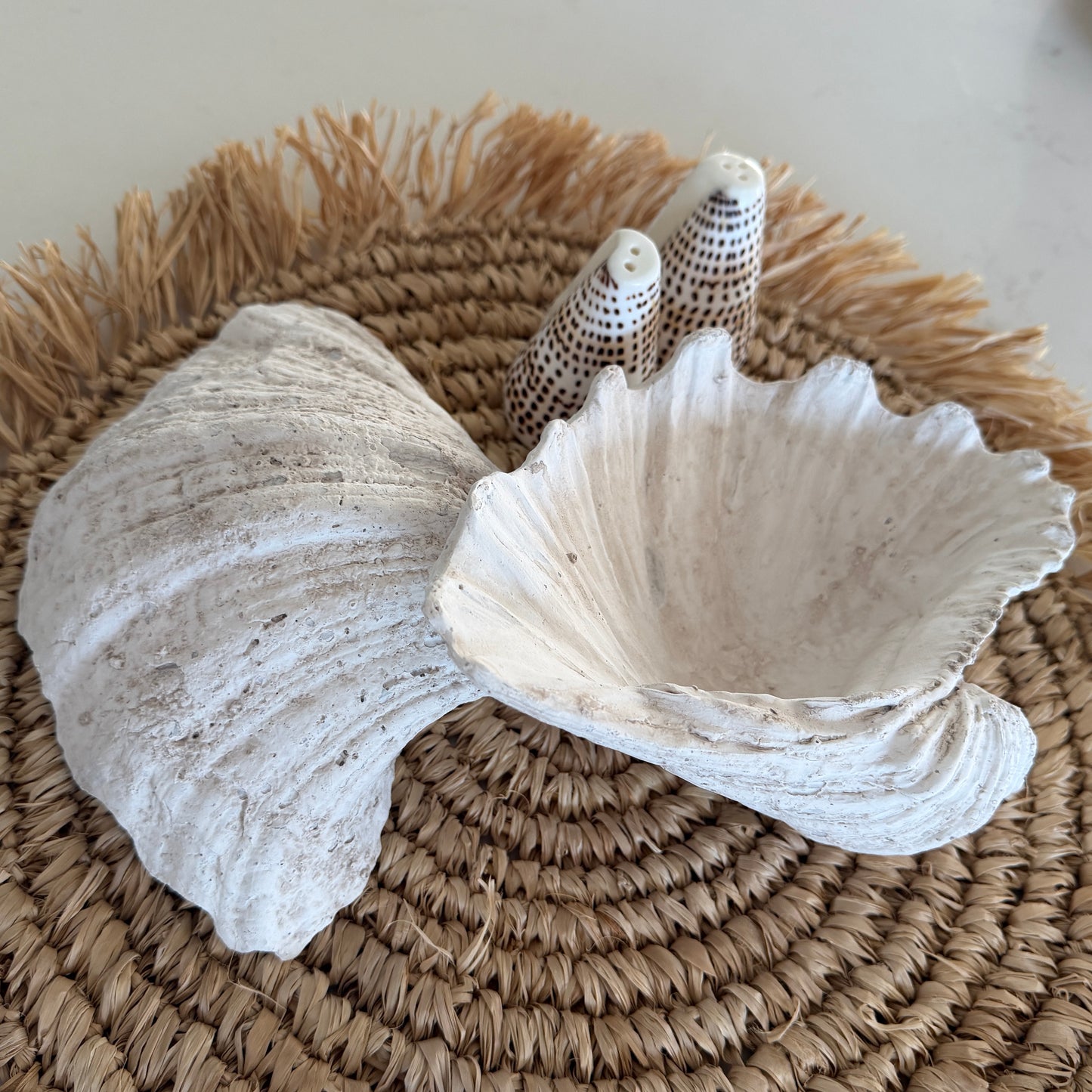 Coastal Clam Shell | Resin | 21cm