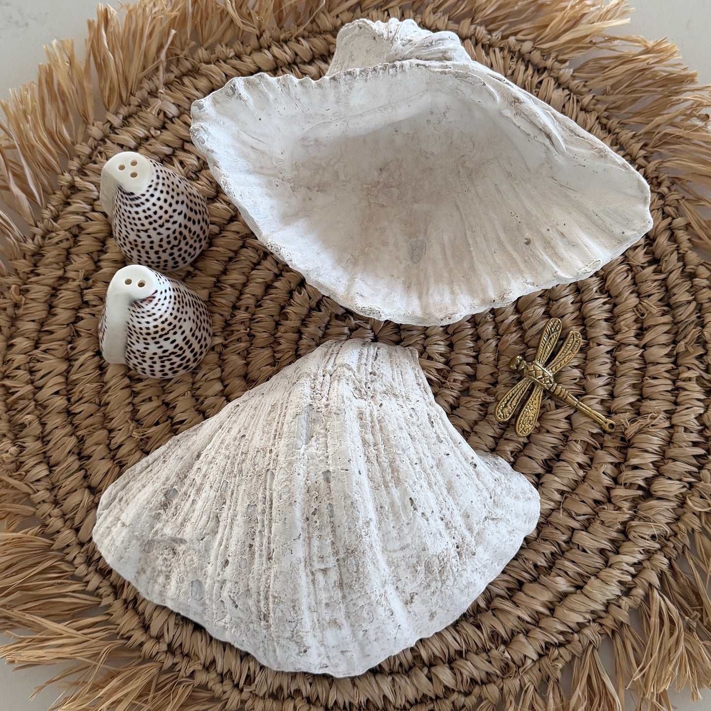 Coastal Clam Shell | Resin | 21cm