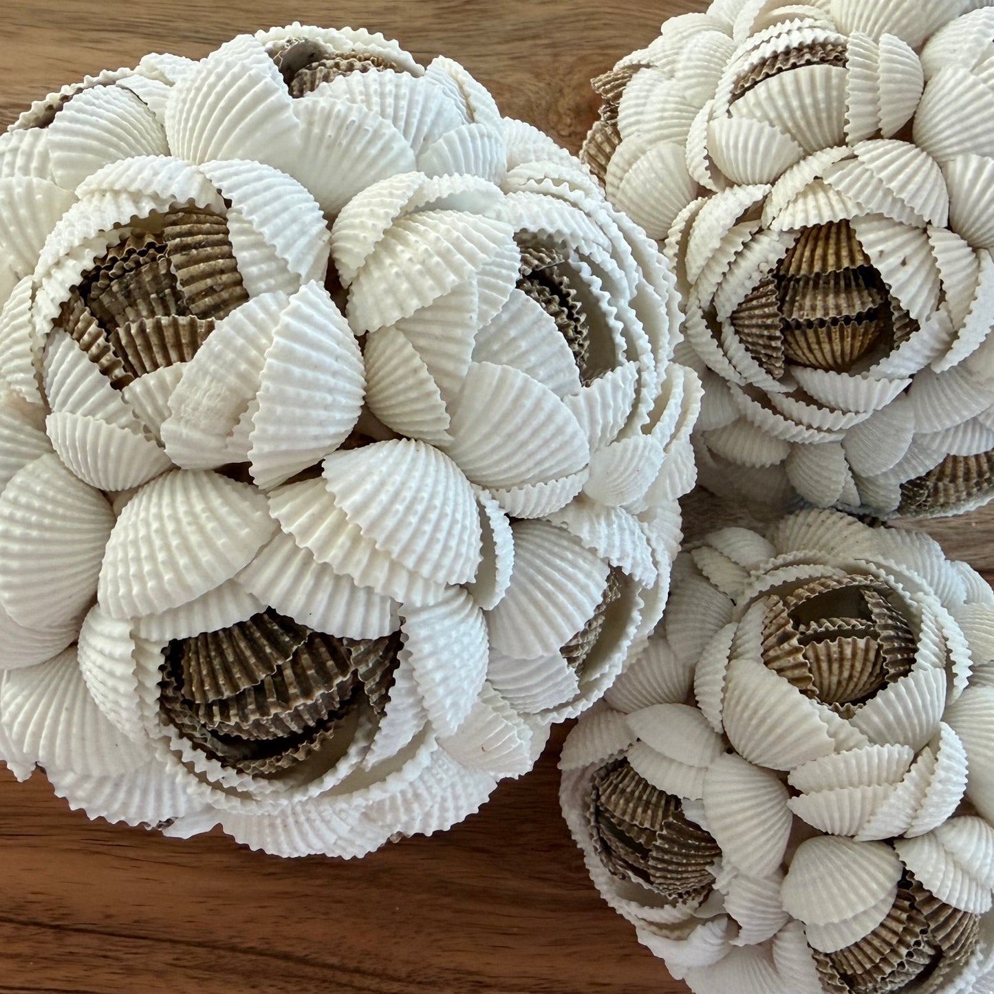 Shells Ball | ROSE | MULTI | 3 Sizes