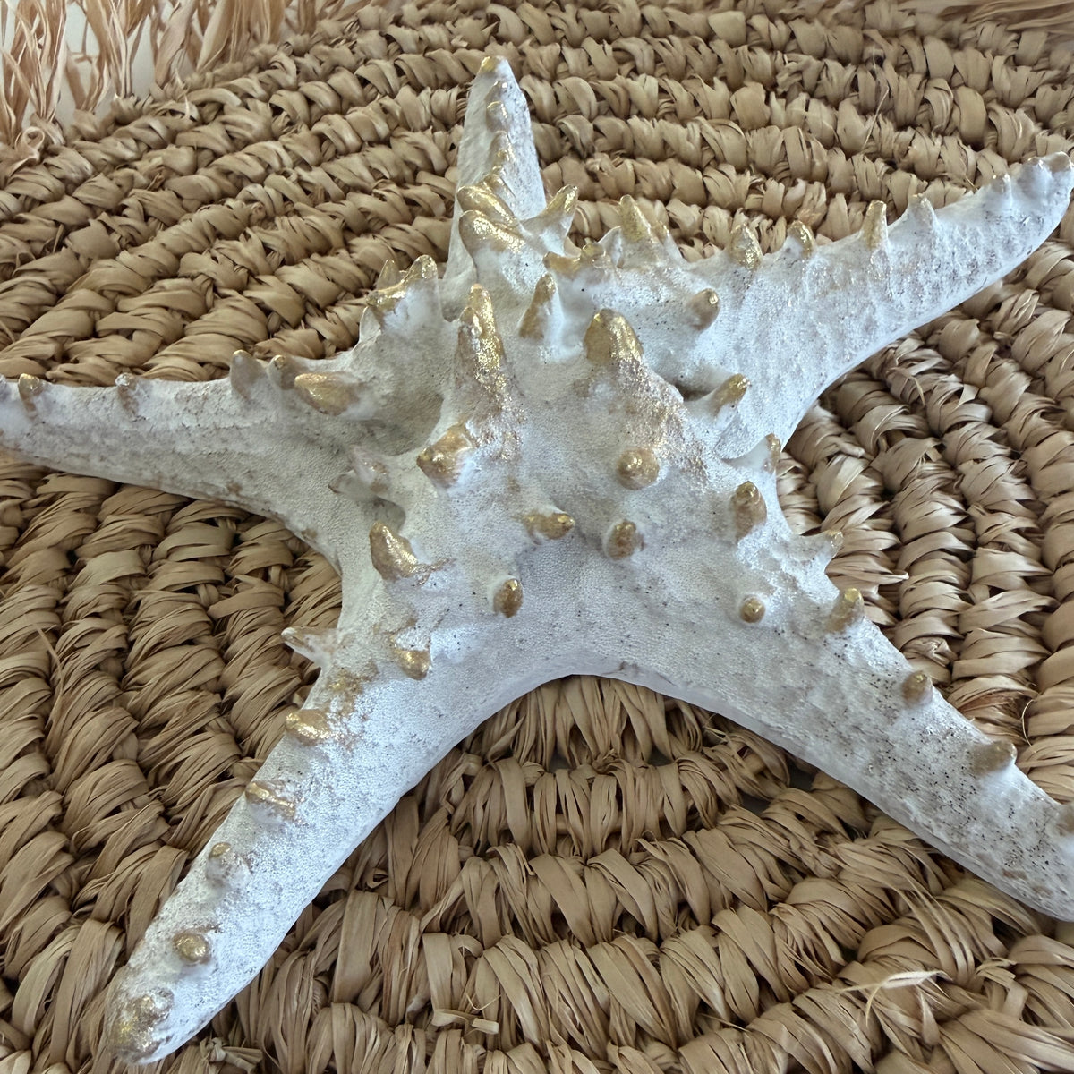 Coastal Starfish Decor | XL | New Arrival