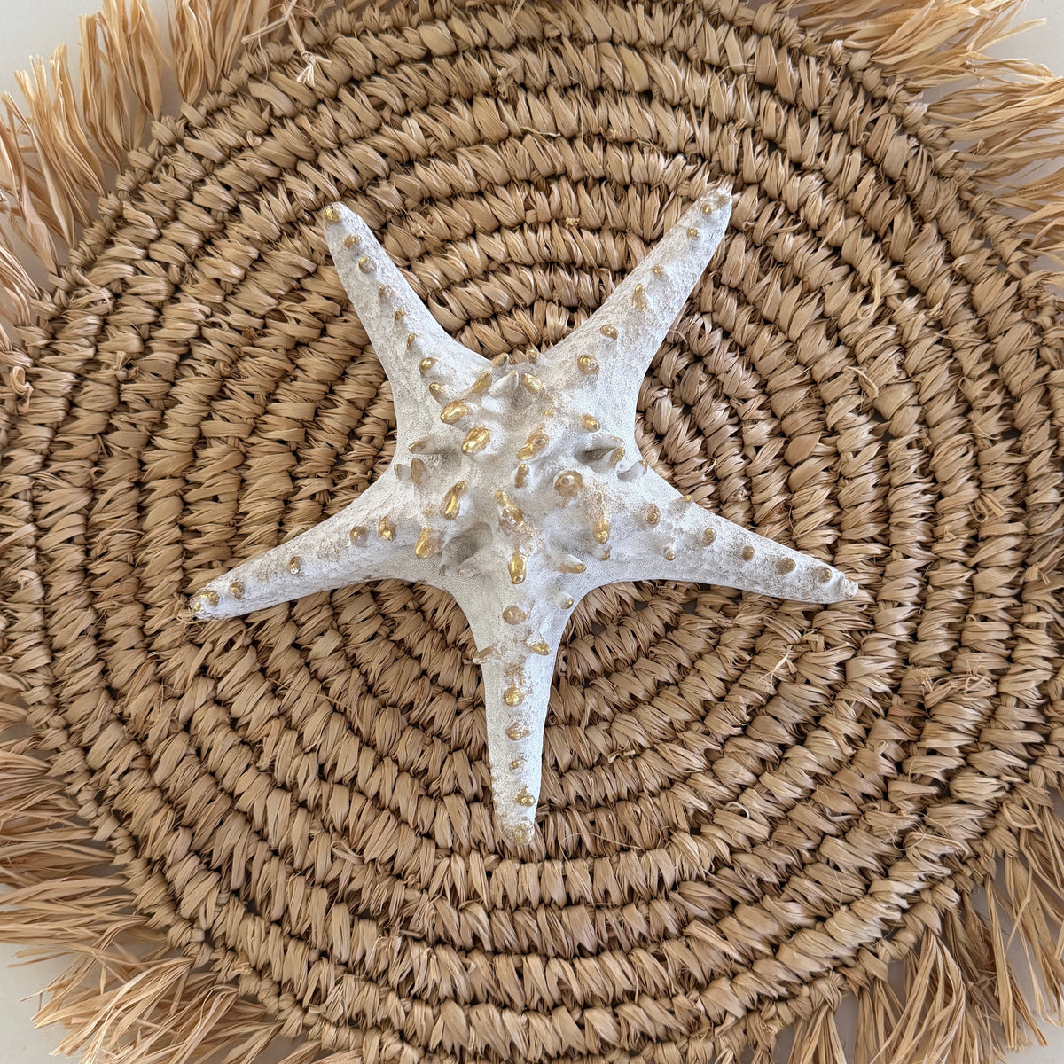Coastal Starfish Decor | XL | New Arrival