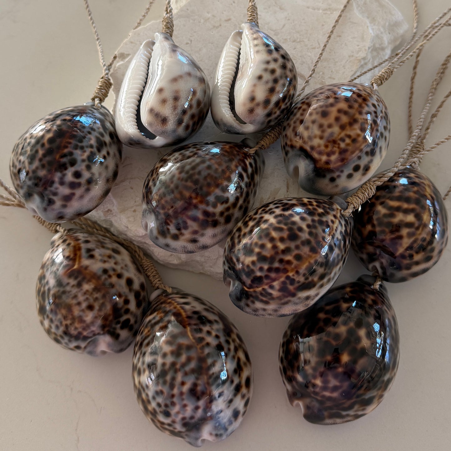 Cowrie Shell Tassel | Curtain Tie Back | Cowrie Shell | Large