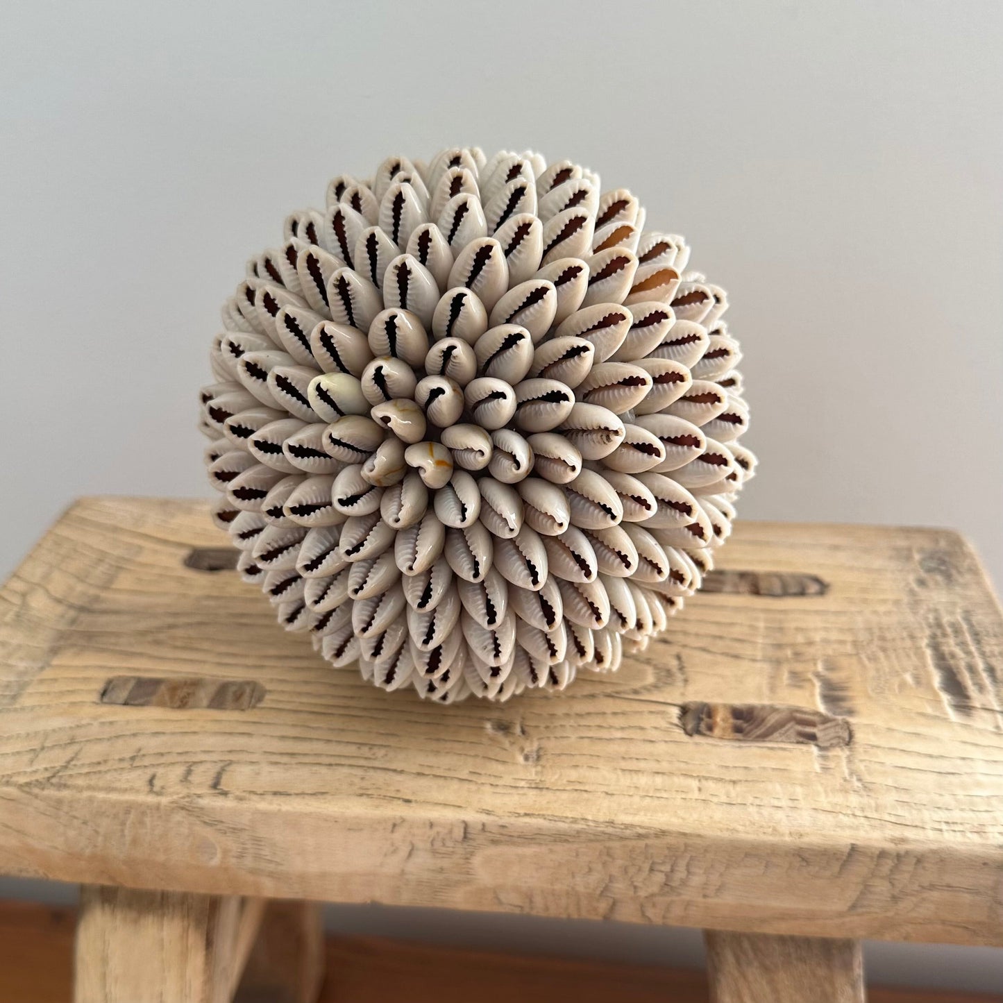 Shells Ball | COWRIE | SECOND | Medium