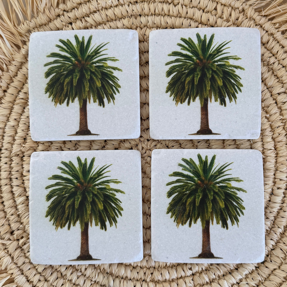 Drink Coasters | set of 4 | Desert Palm | NEW ARRIVAL