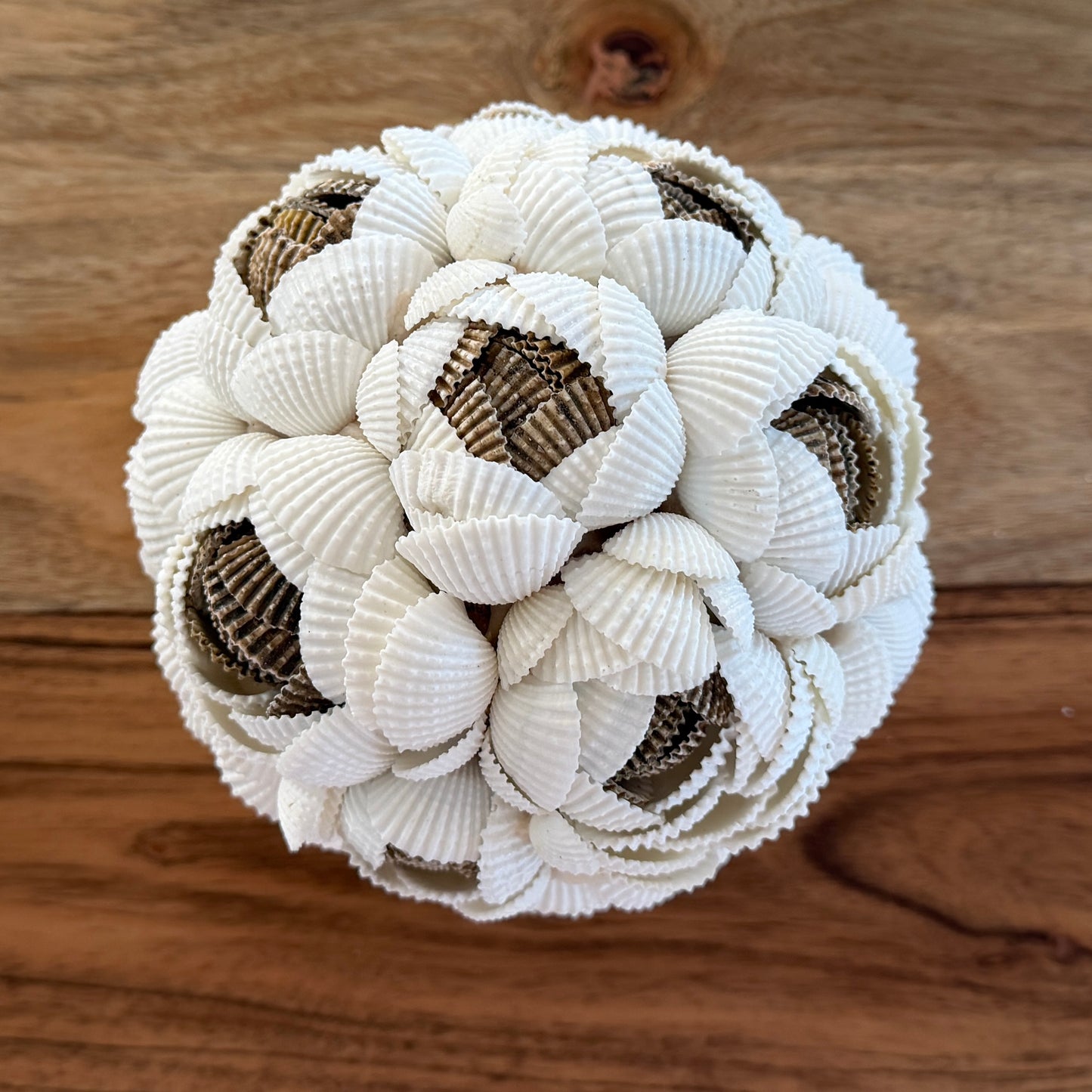 Shells Ball | ROSE | MULTI | 3 Sizes