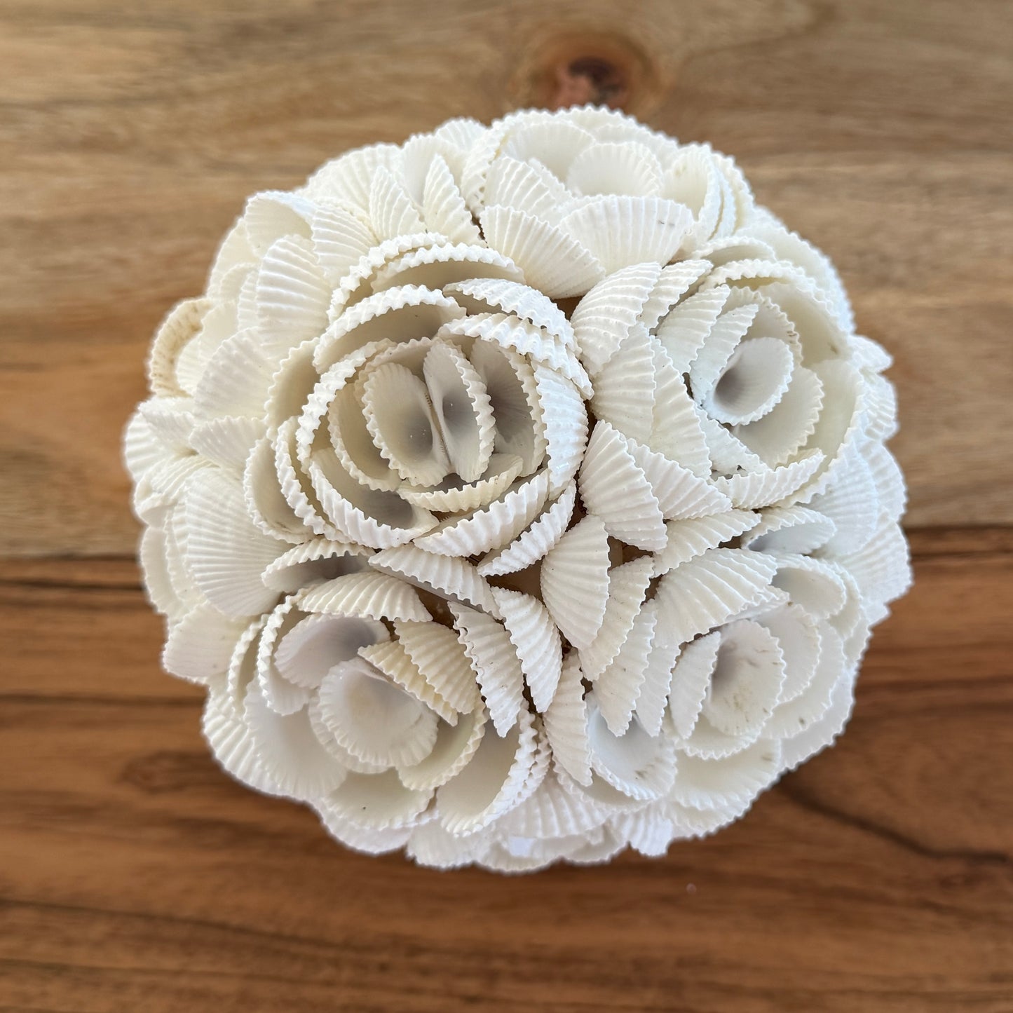 Shells Ball | ROSE | 3 Sizes