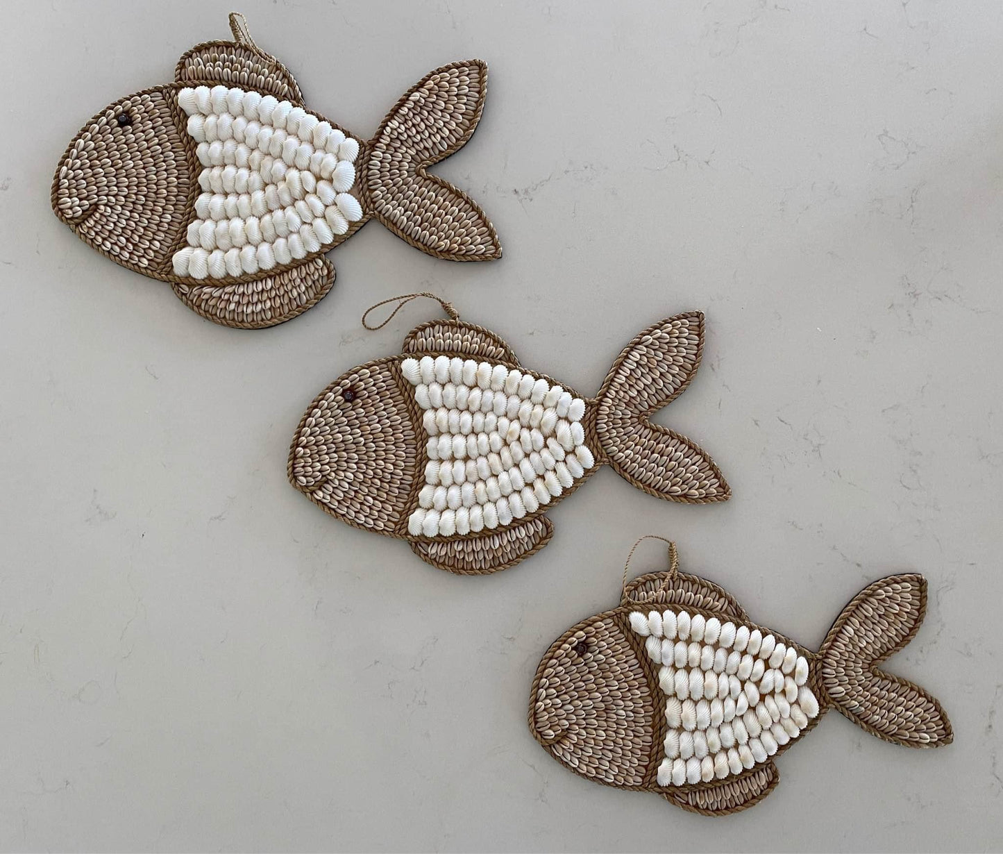 Fish Shell Wall Hanging | White & Cowrie